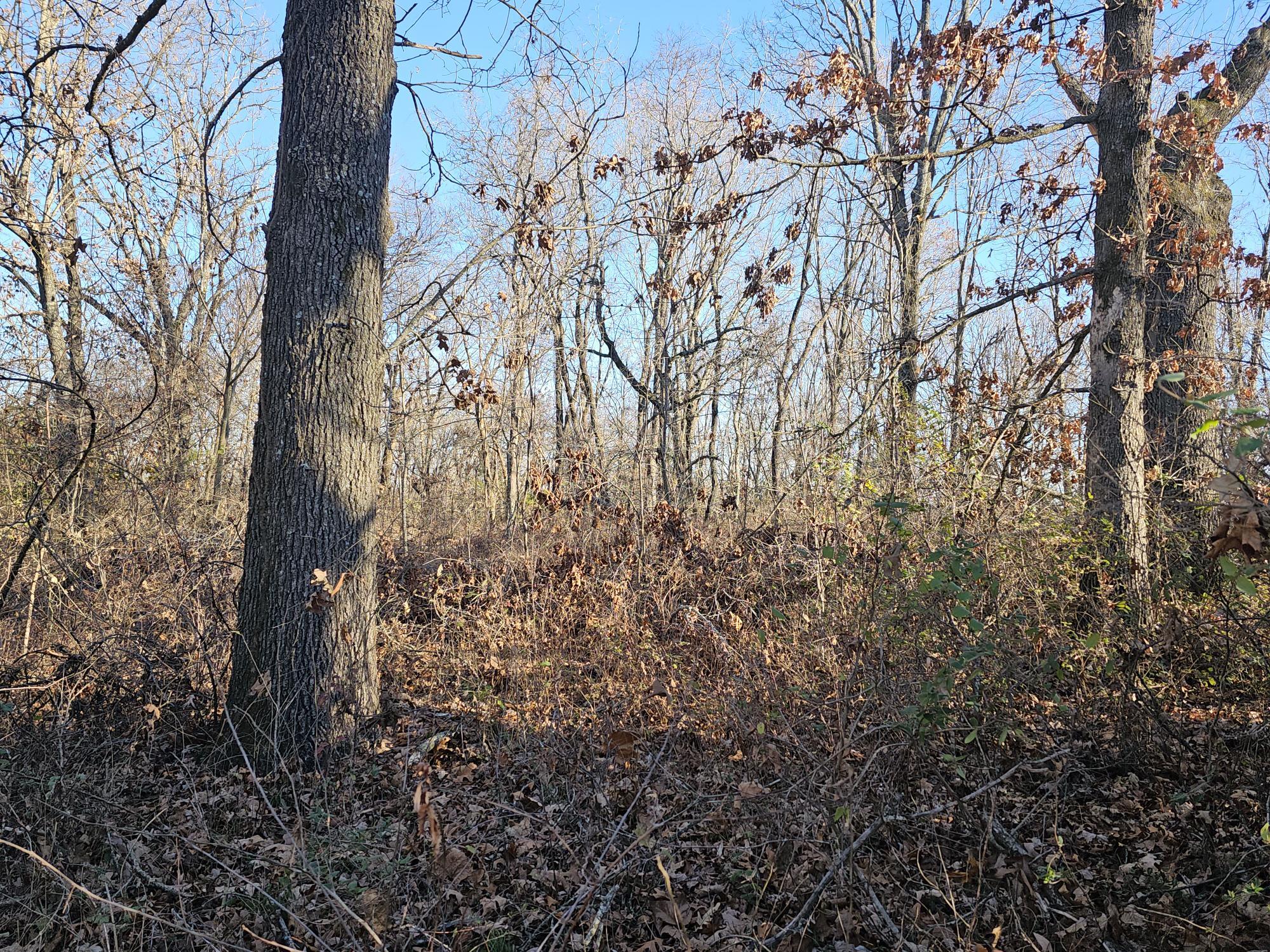 20 Ac Jesse James Road Property Photo 4