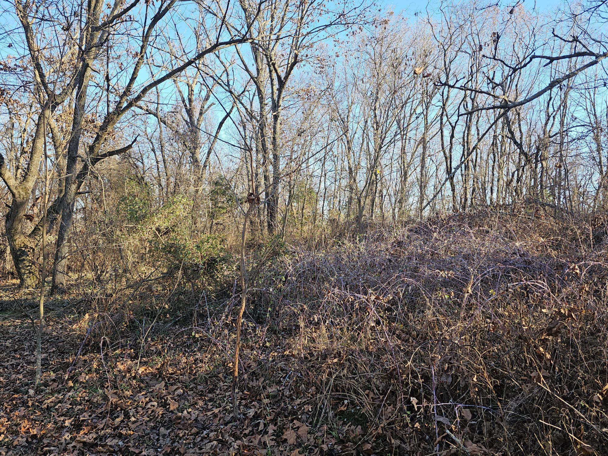 20 Ac Jesse James Road Property Photo 6