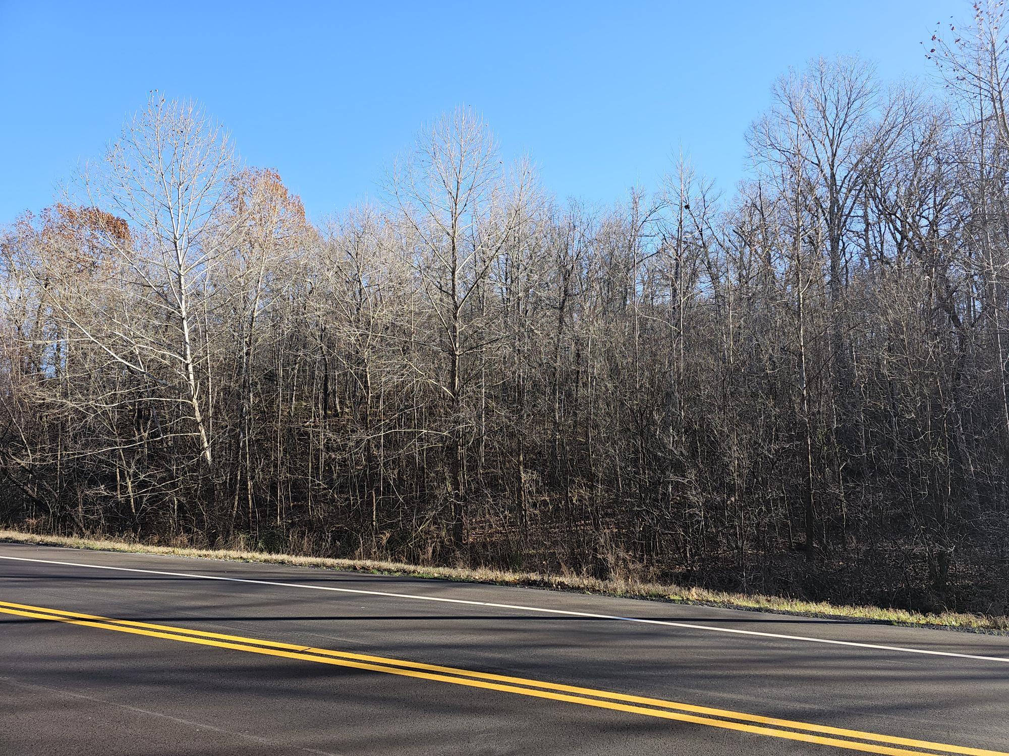 46 Ac Route Ee Property Photo 1