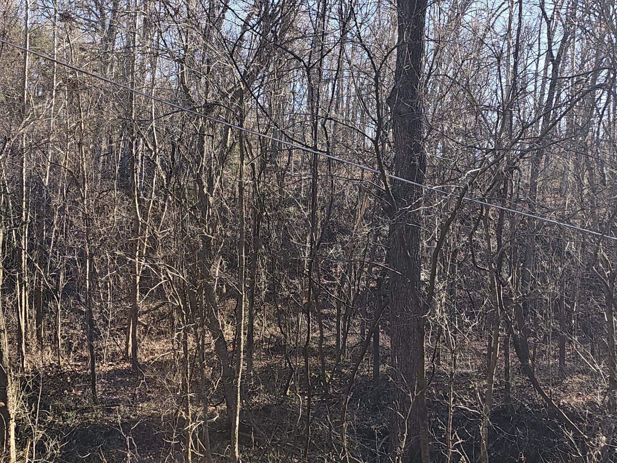 46 Ac Route Ee Property Photo 4