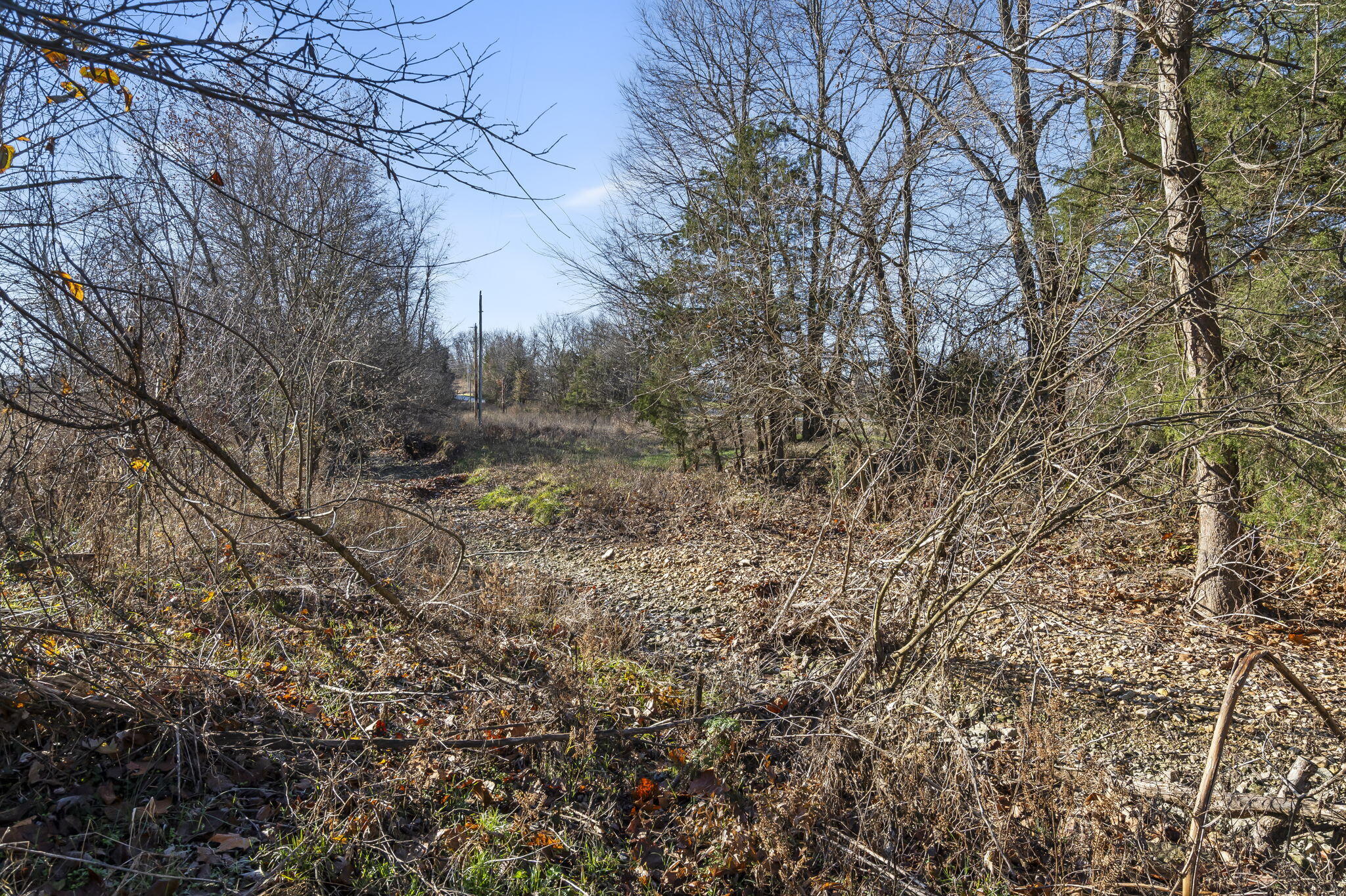 20 Creek Bluff Drive Property Photo 41