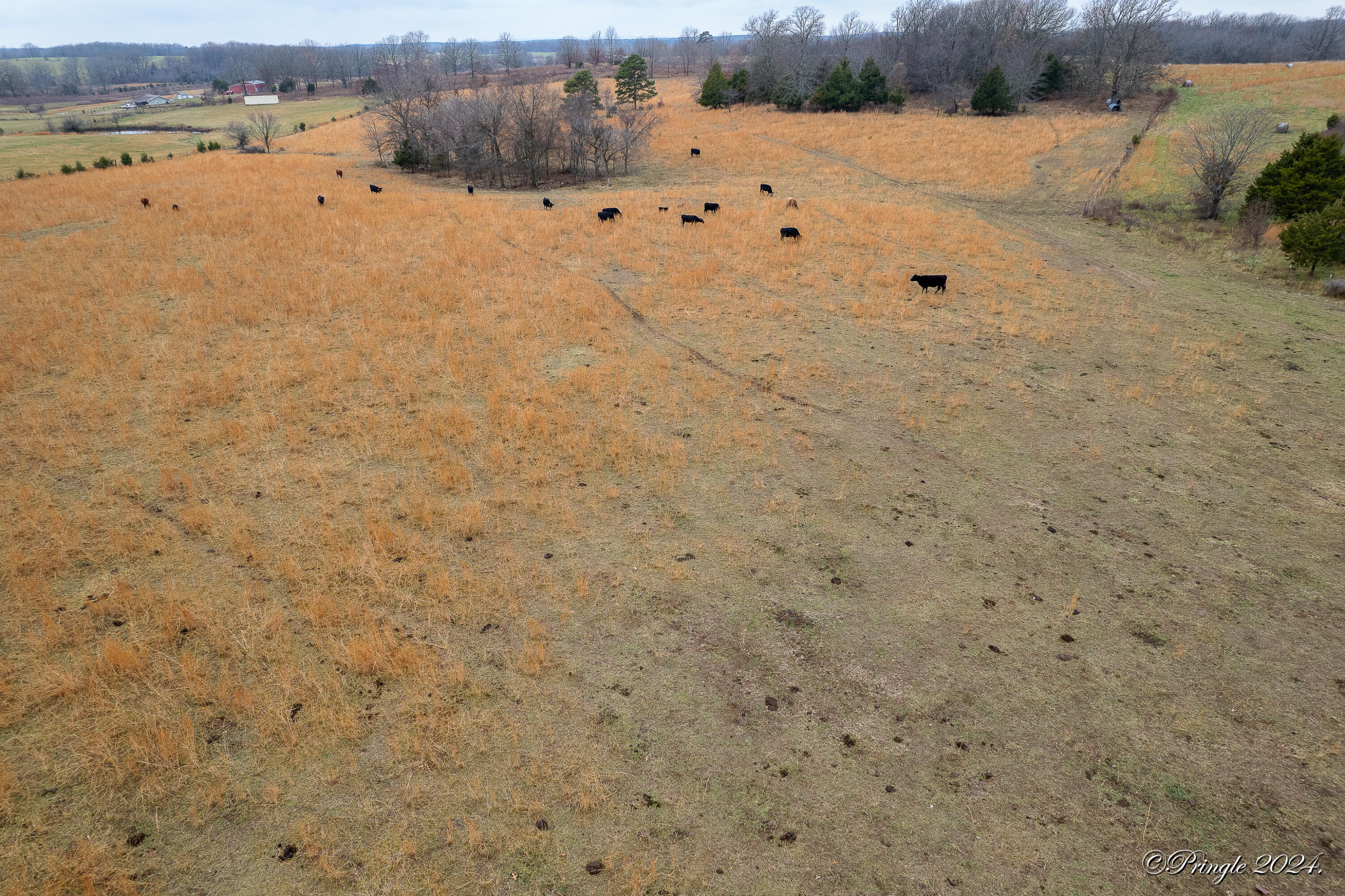 8685 State Route Ad Property Photo 19