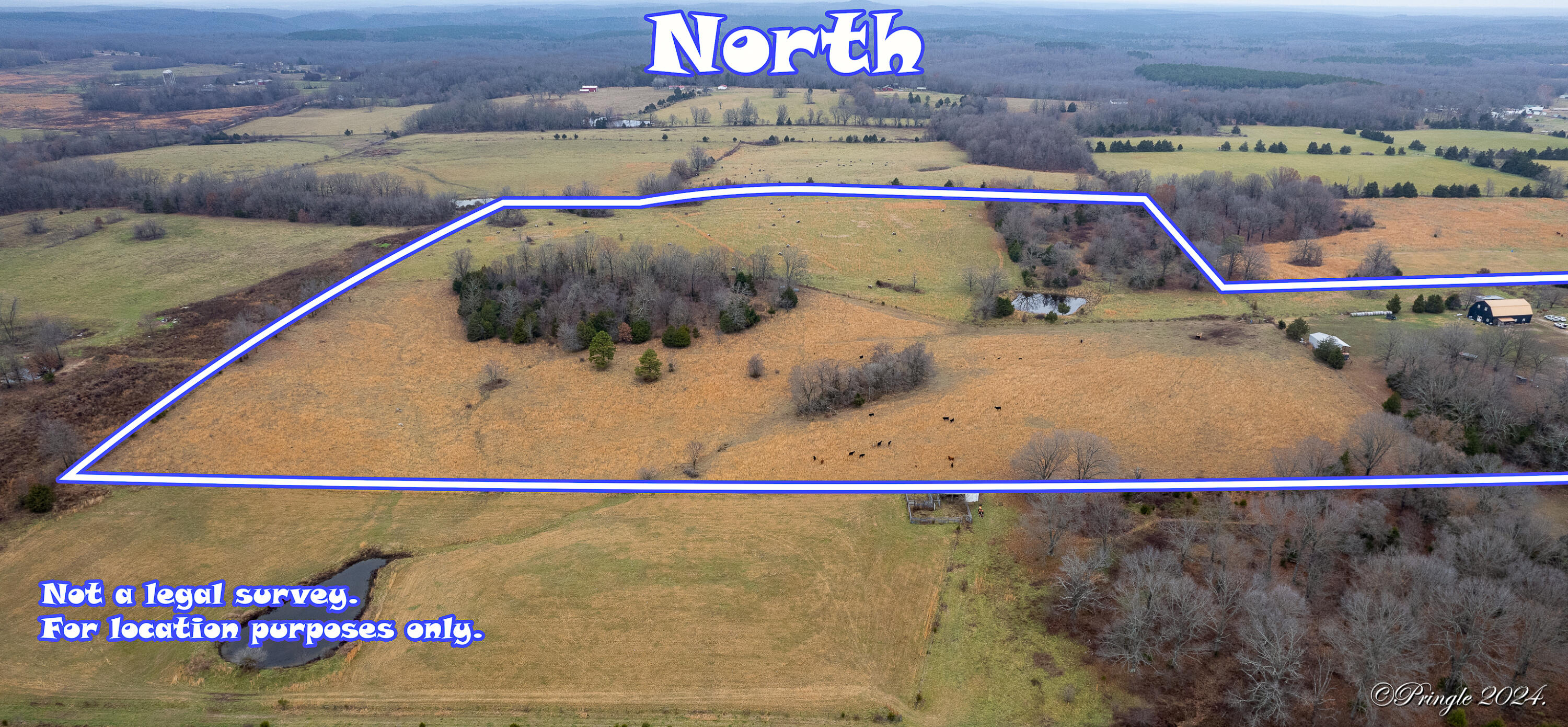 8685 State Route Ad Property Photo 75