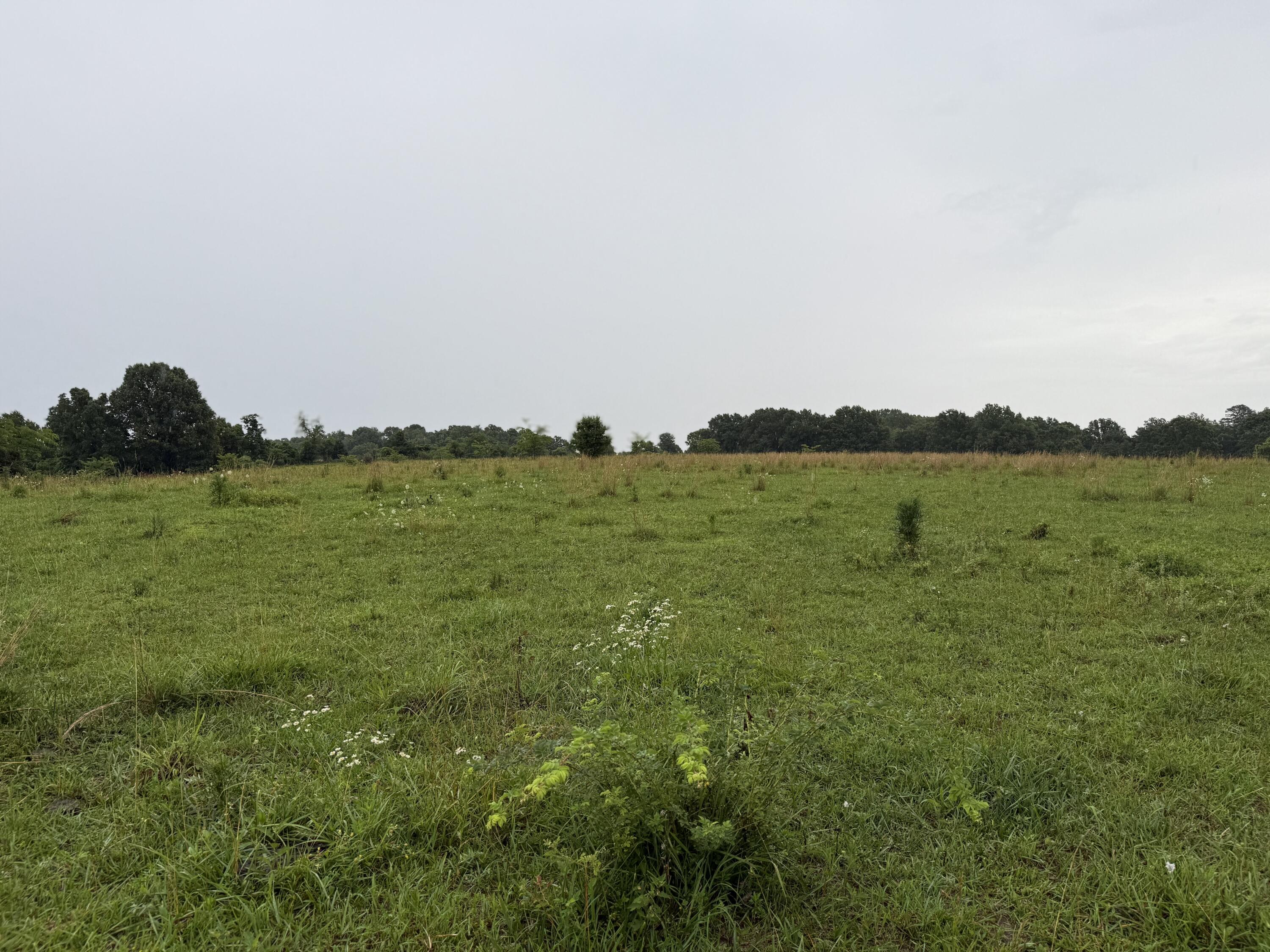 8685 State Route Ad Property Photo 91