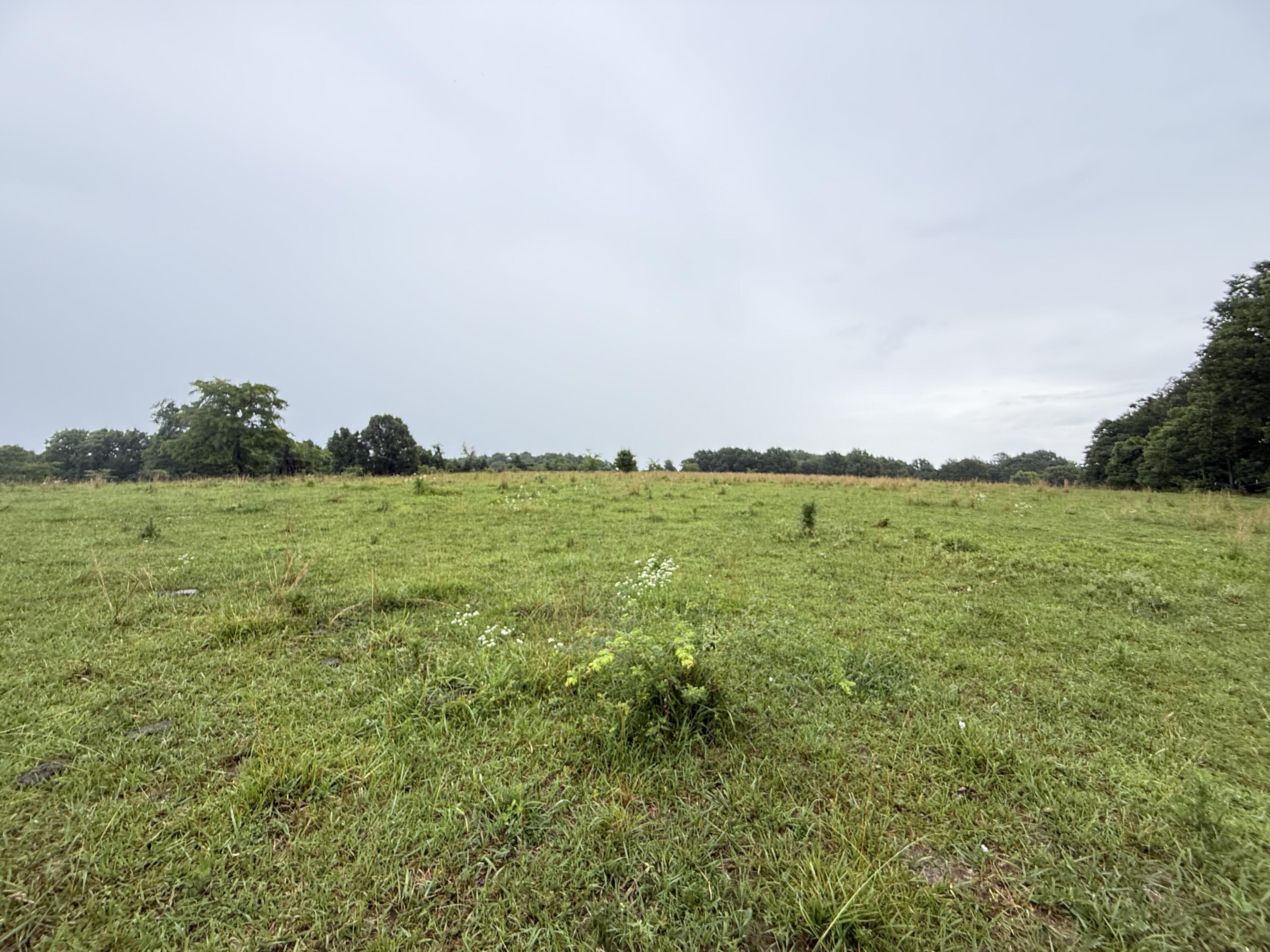 8685 State Route Ad Property Photo 95