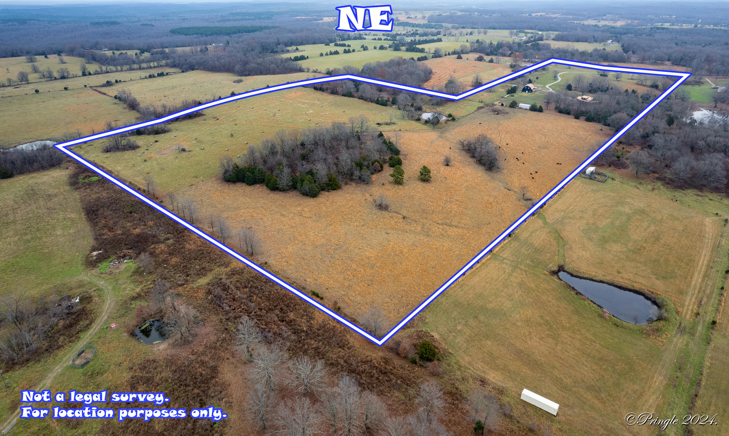 8685 State Route Ad Property Photo 104