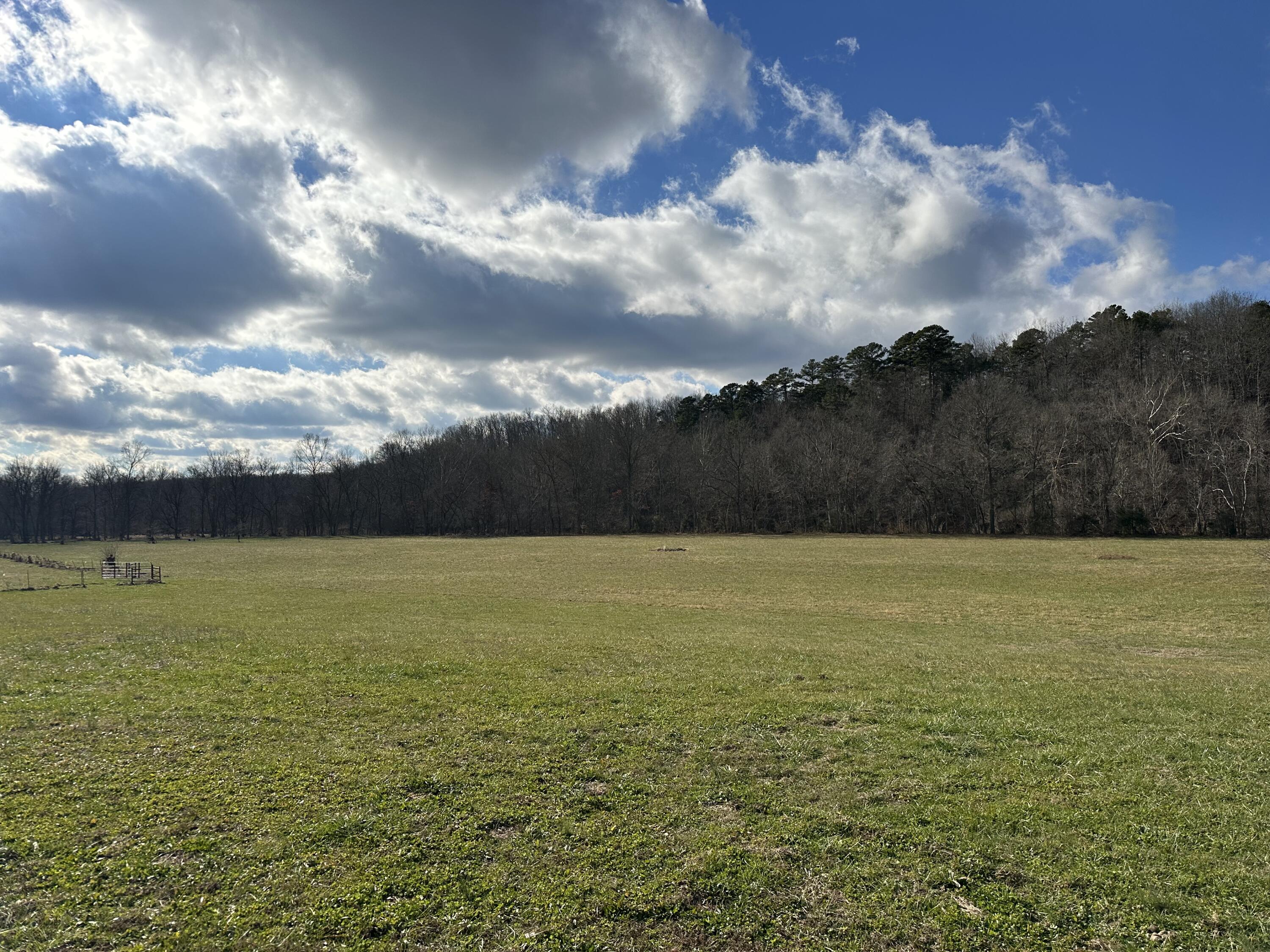 467 White Creek Road Property Photo 51