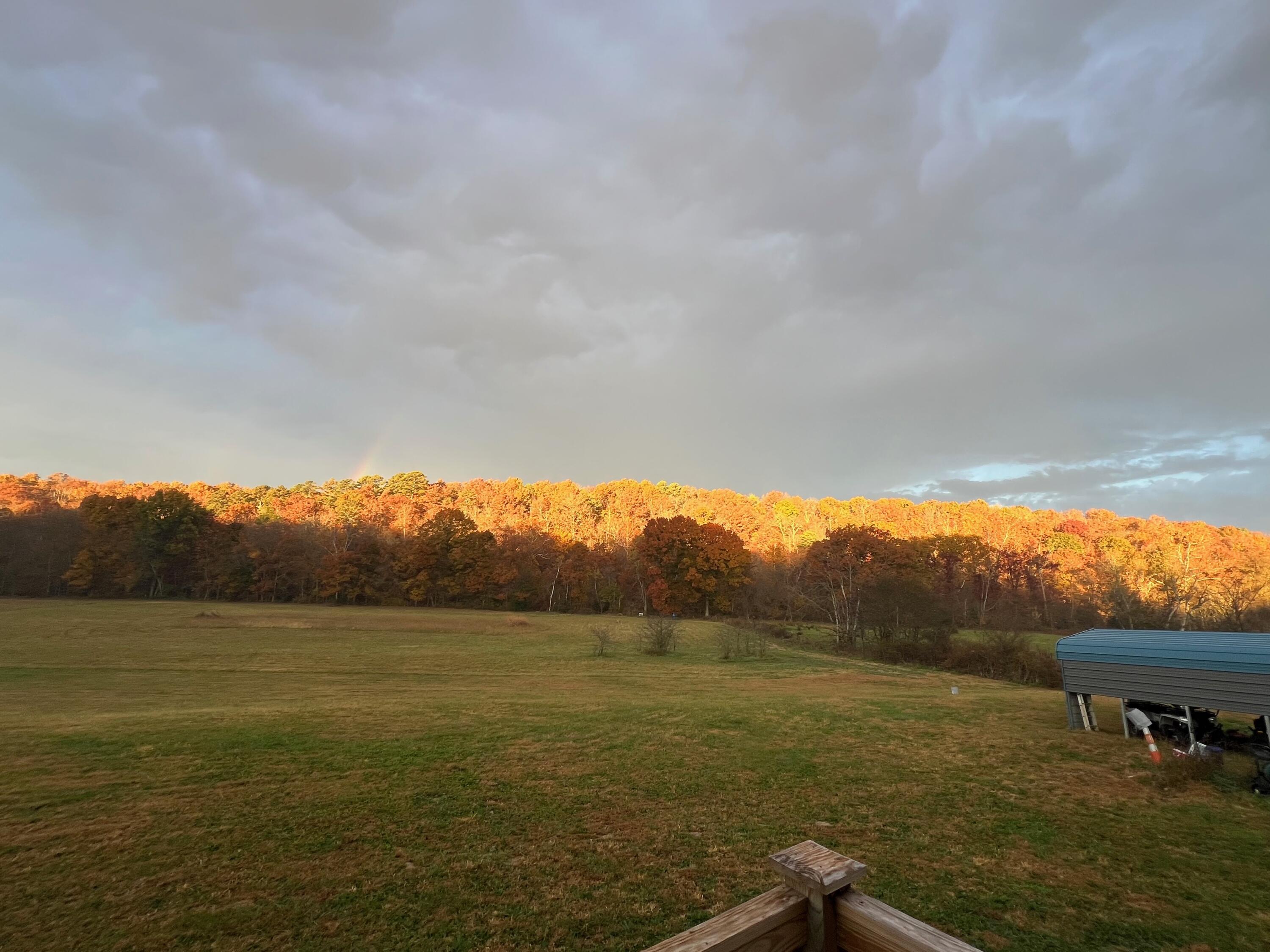 467 White Creek Road Property Photo 53