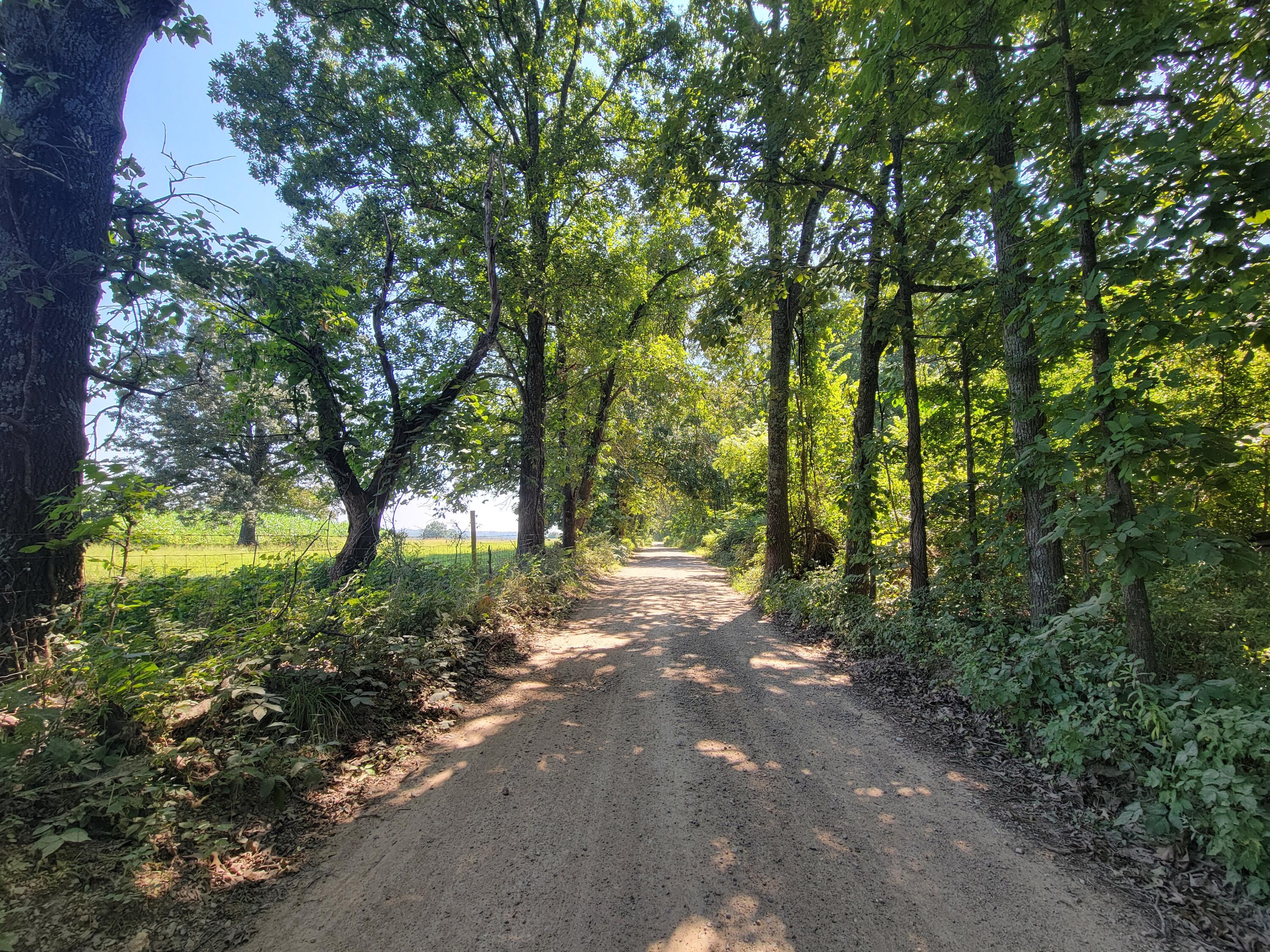 000 County Road 206 Property Photo 1
