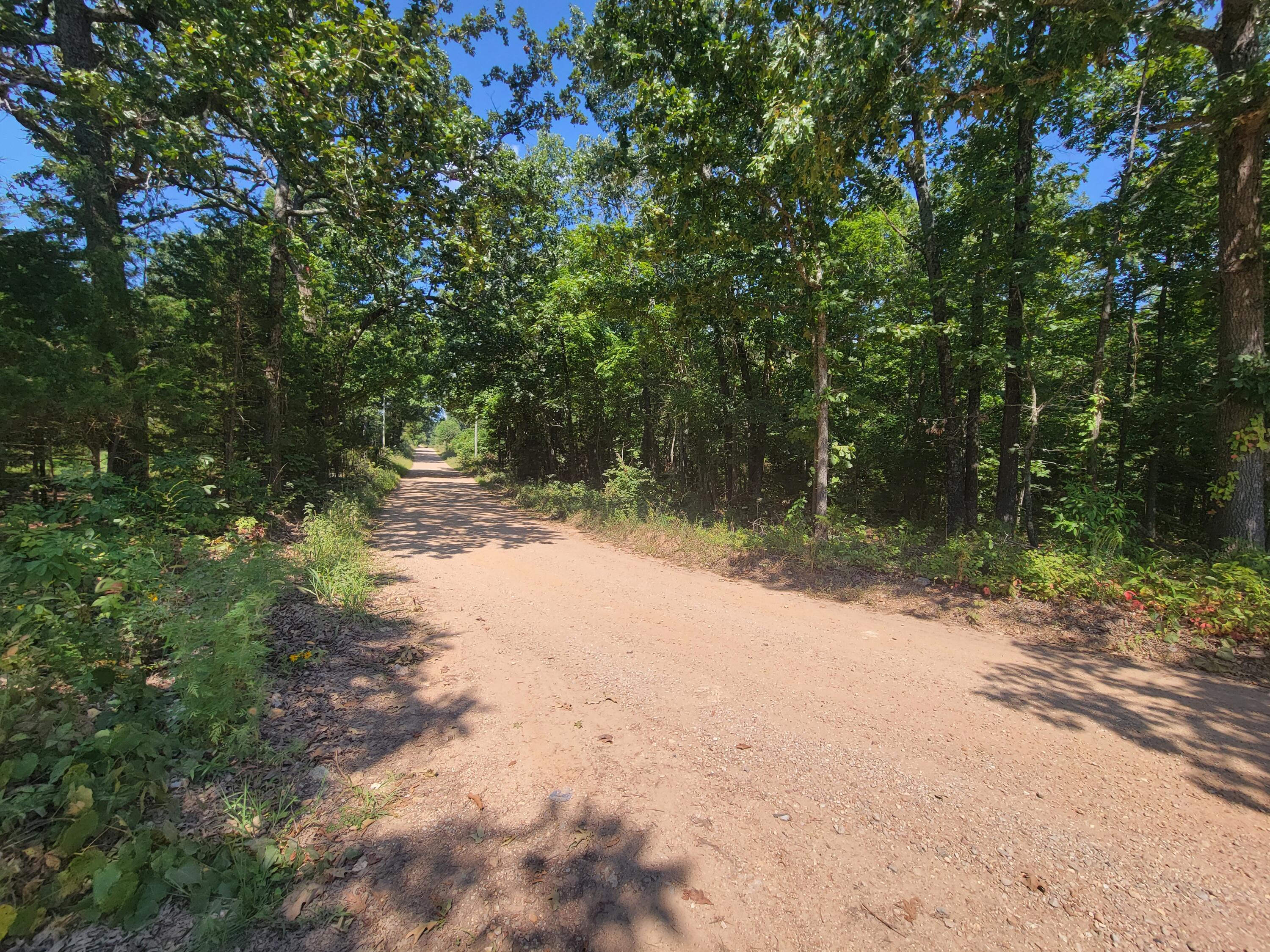 000 County Road 206 Property Photo 3