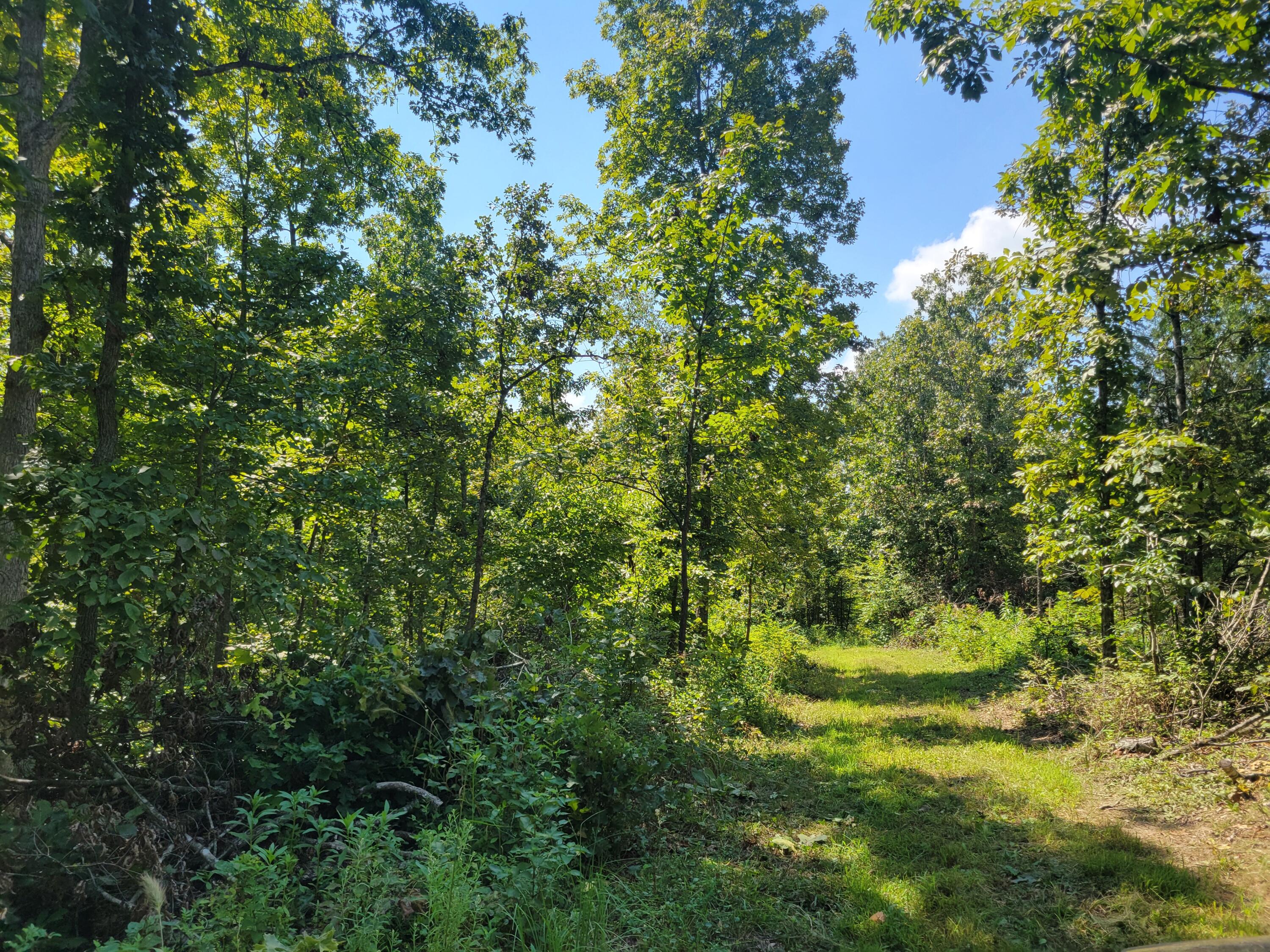 000 County Road 206 Property Photo 11
