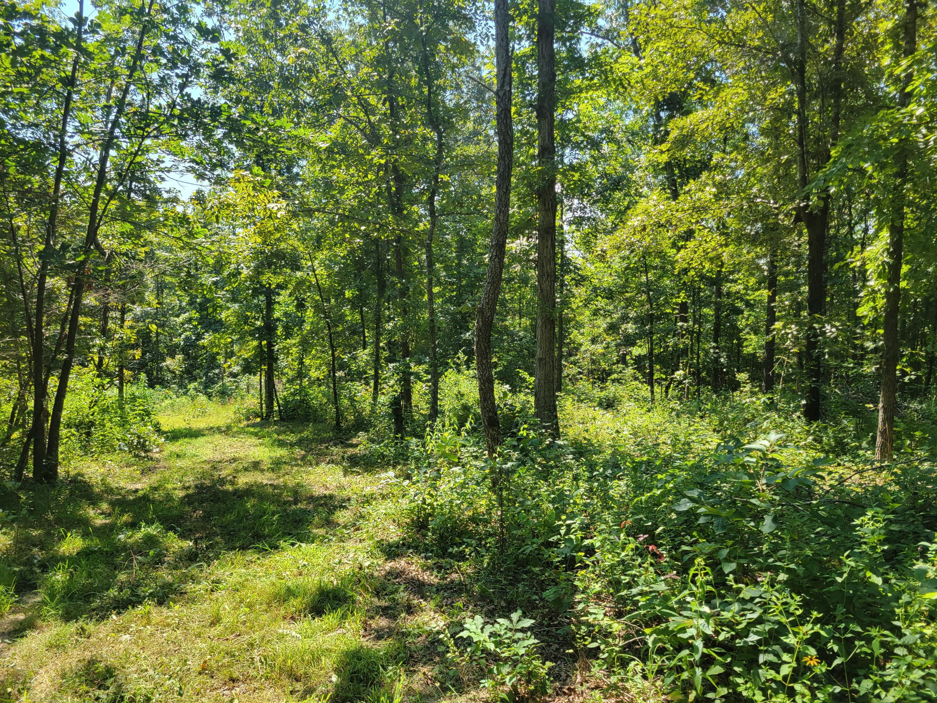 000 County Road 206 Property Photo 12