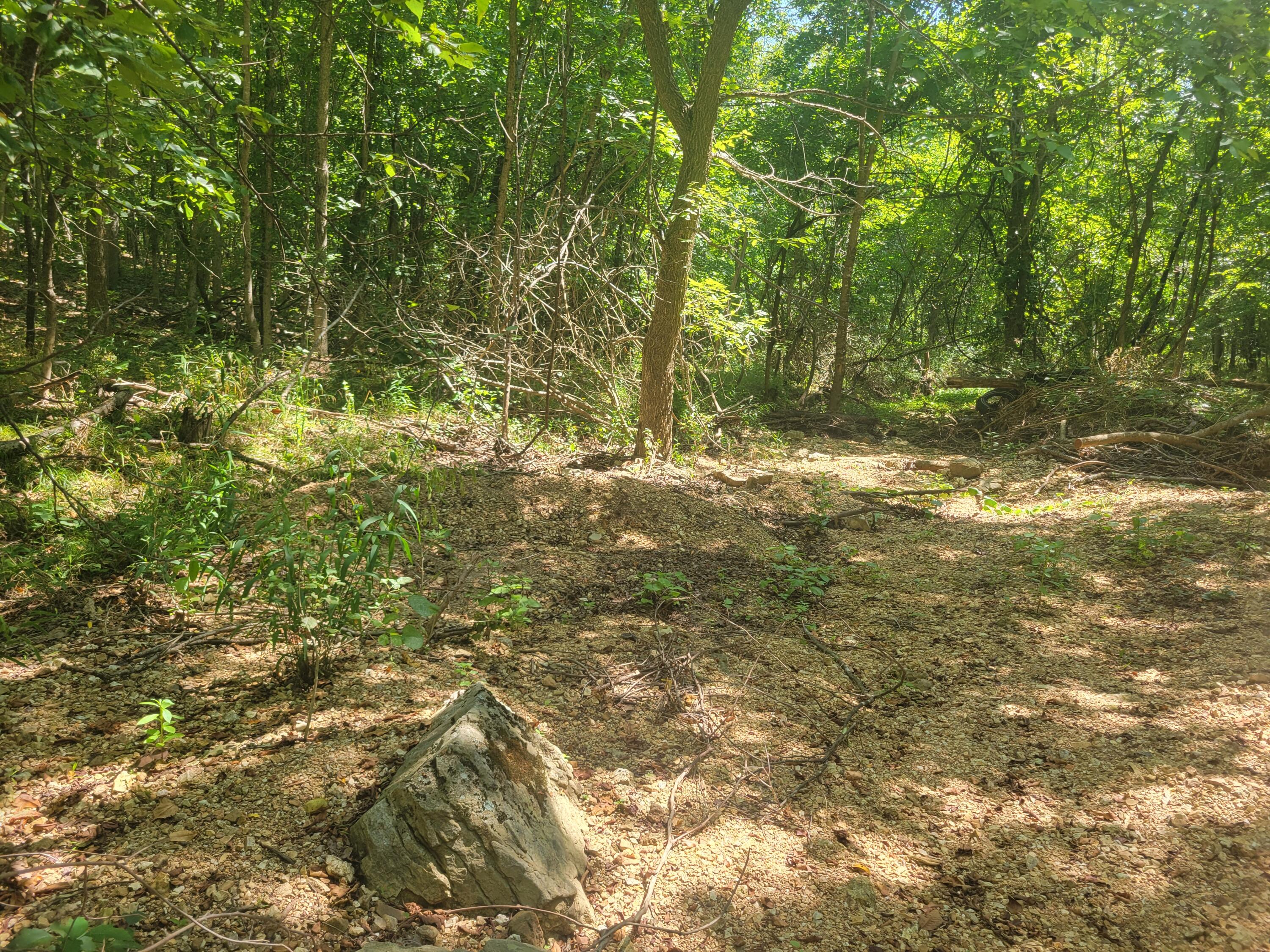 000 County Road 206 Property Photo 13
