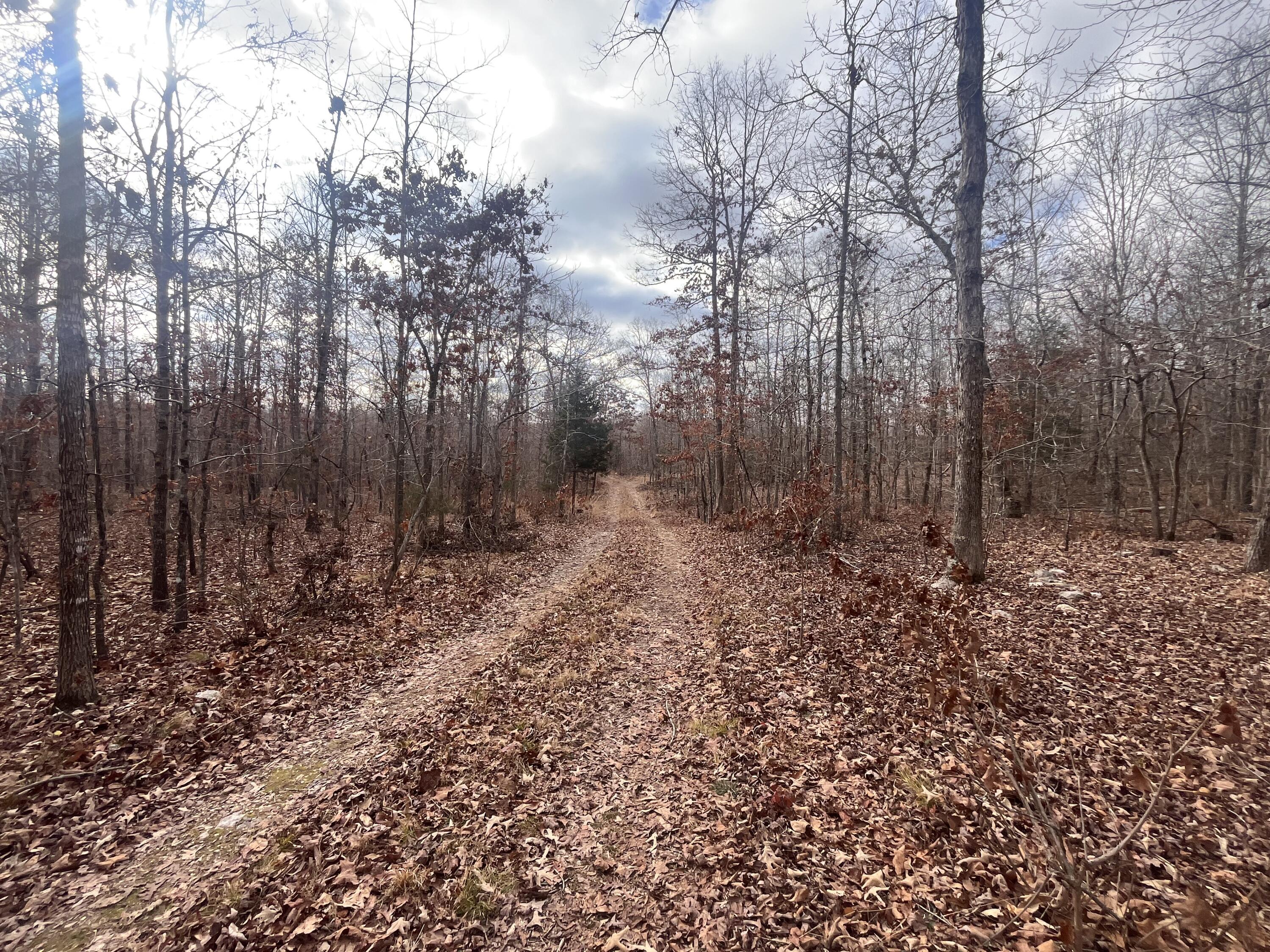 000 County Road 206 Property Photo 19