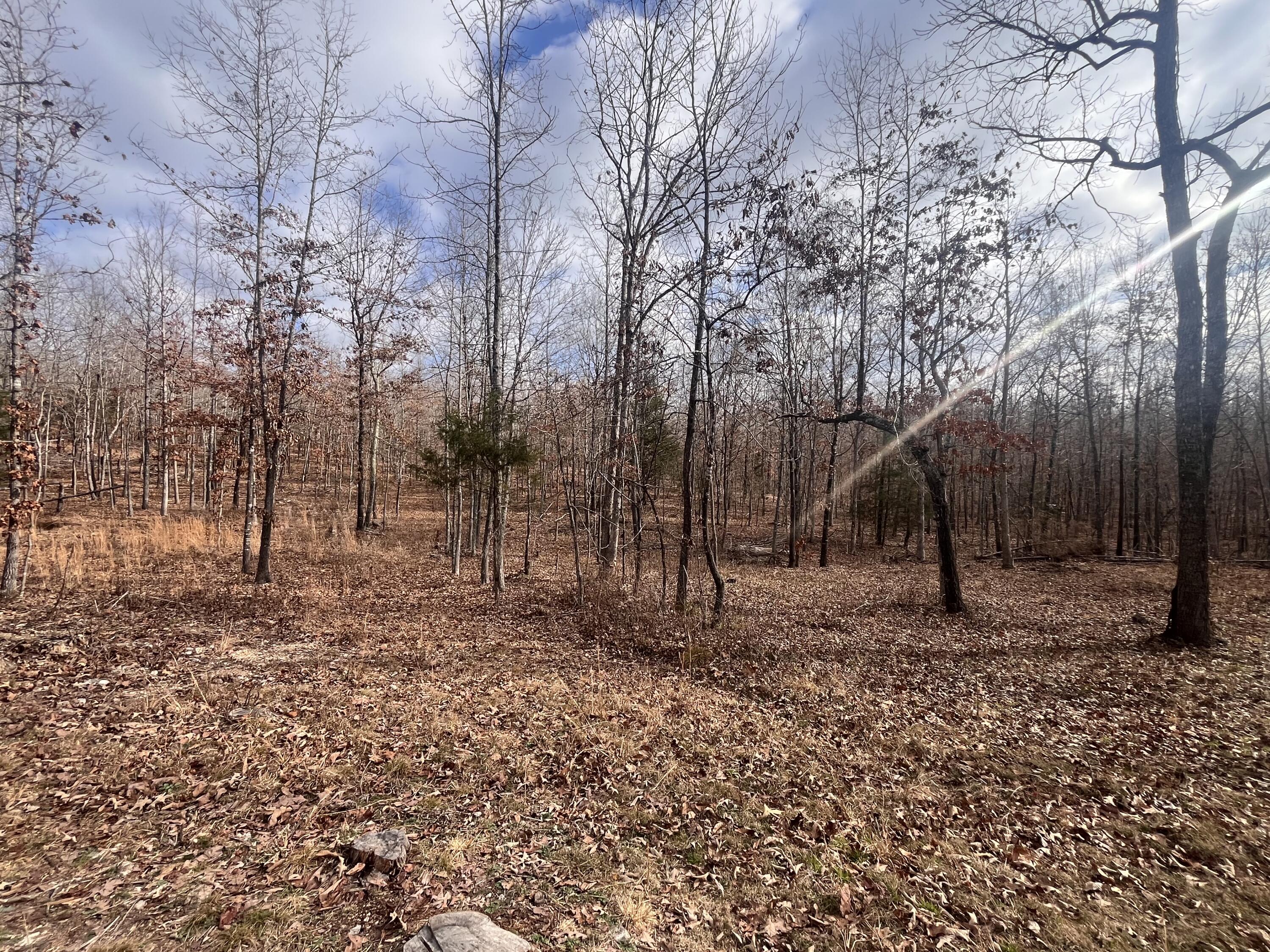 000 County Road 206 Property Photo 21