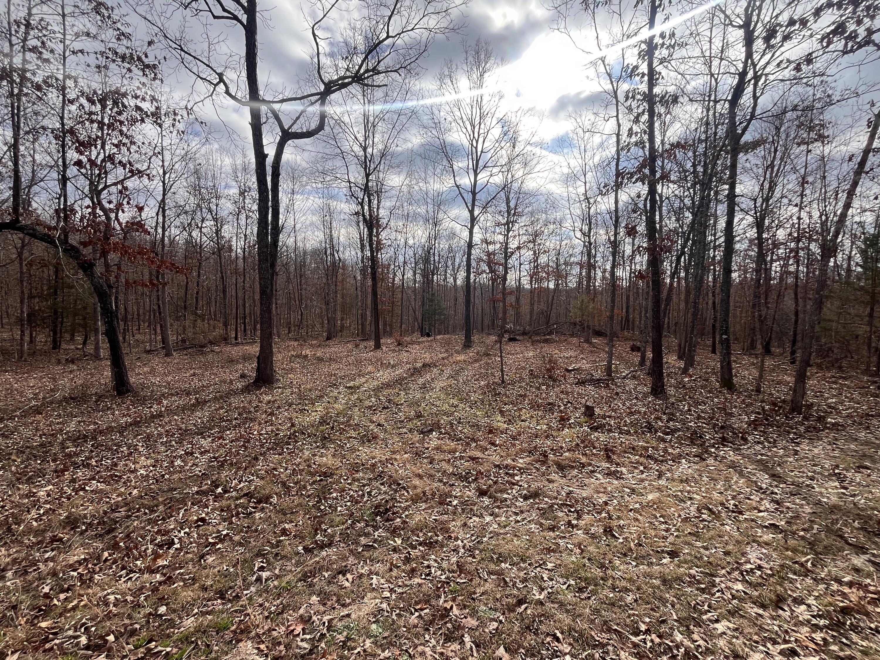 000 County Road 206 Property Photo 22