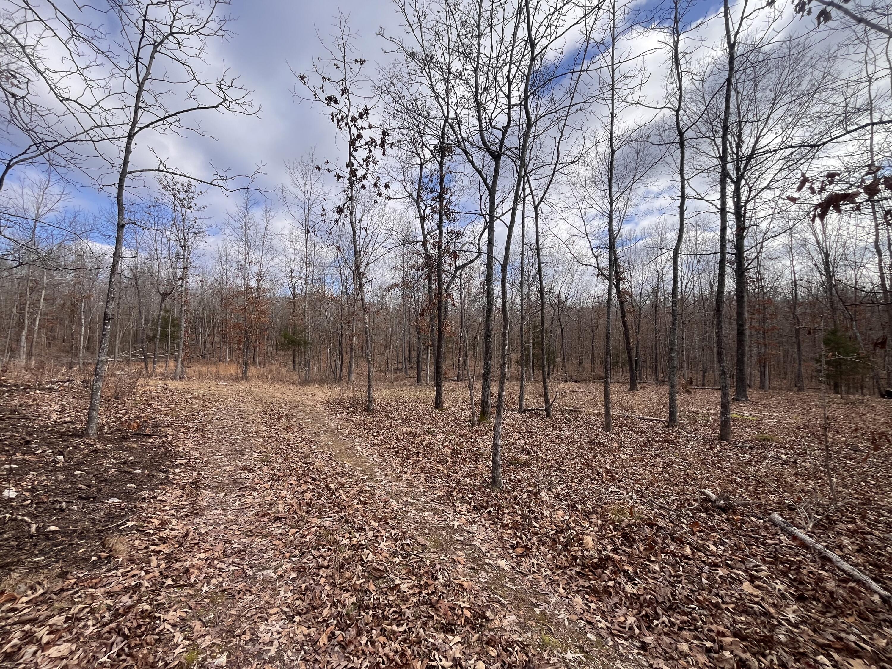 000 County Road 206 Property Photo 24