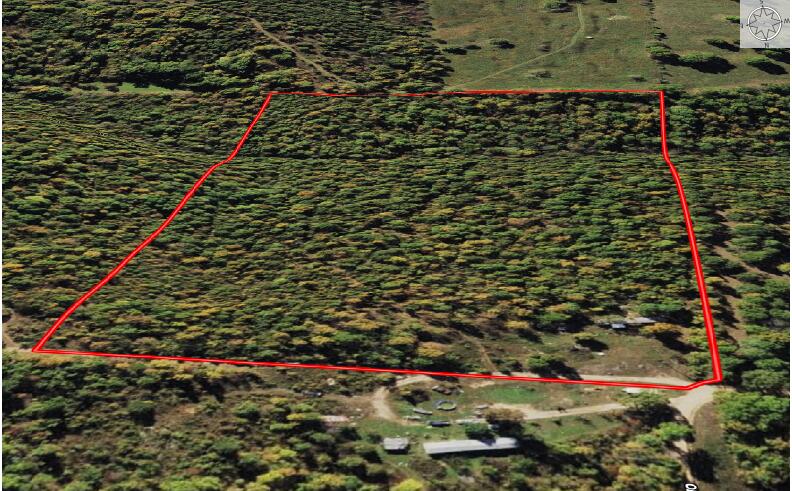 000 County Road 206 Property Photo 25
