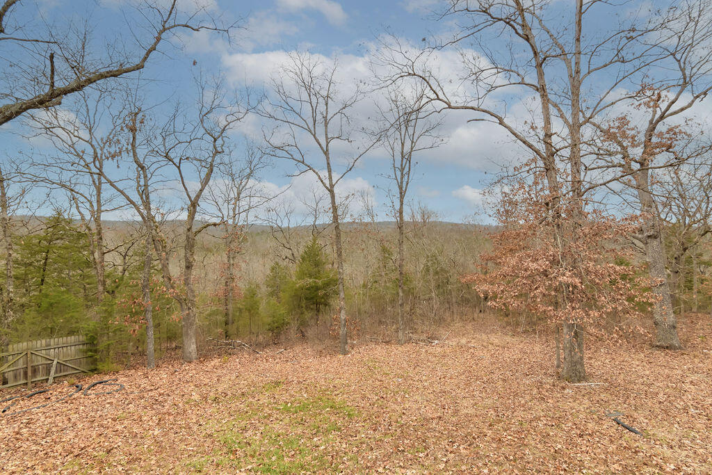 435 Trigger Cove Road Property Photo 58