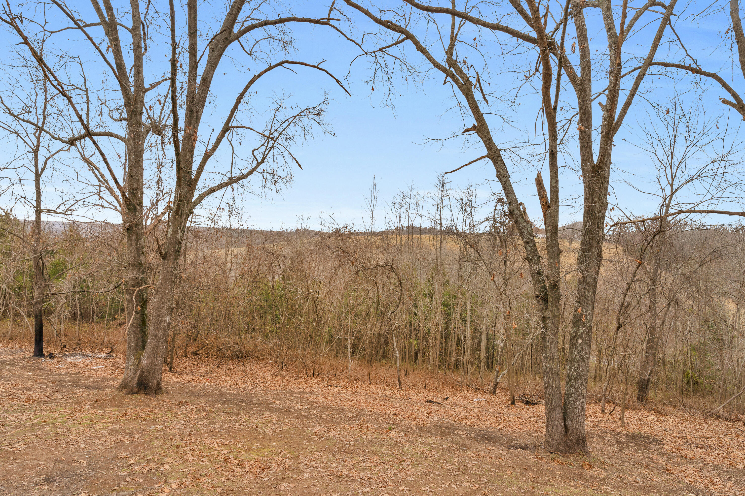 42 Pacific Drive Property Photo 18