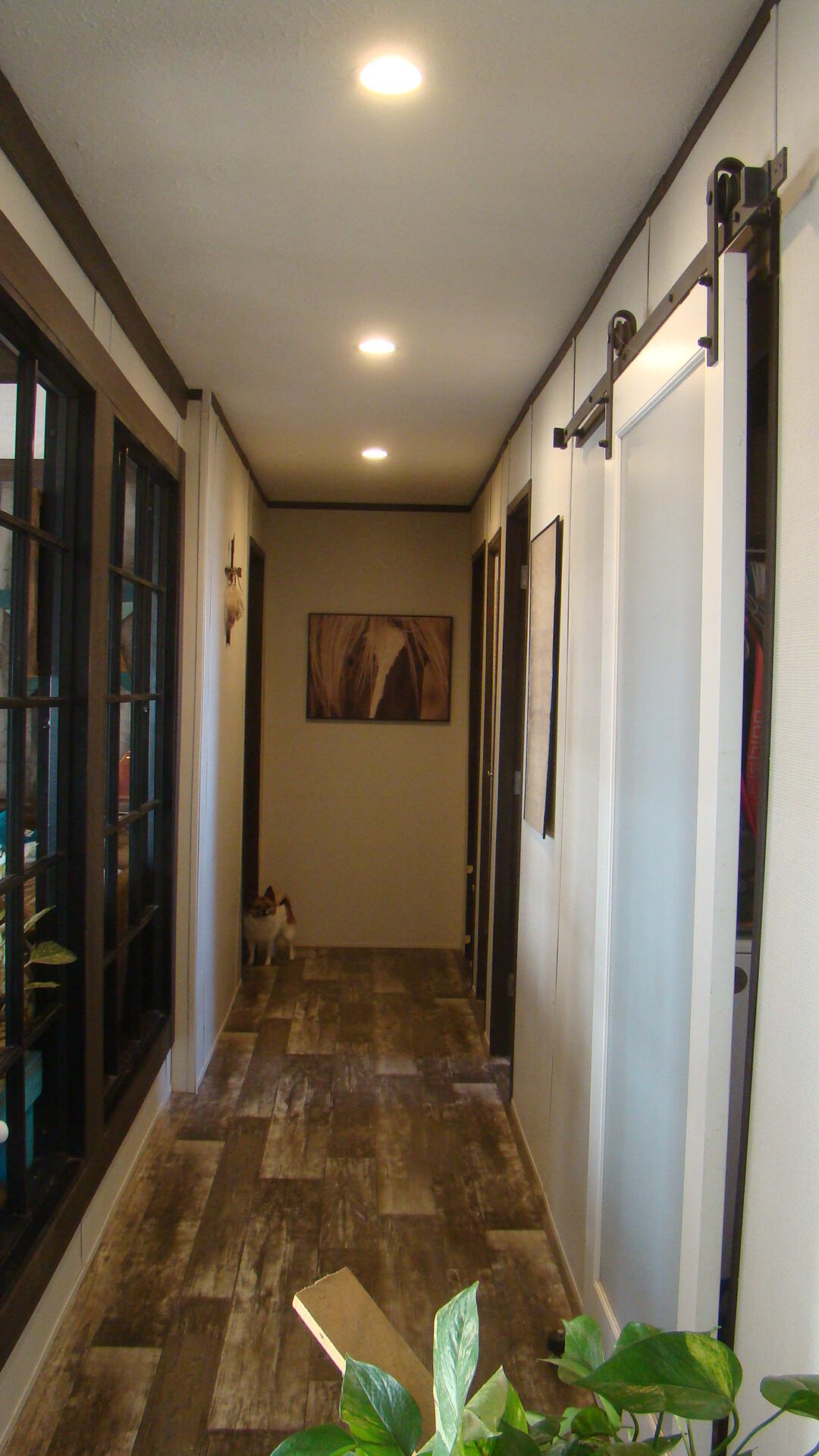 2382 County Road 670 Property Photo 14