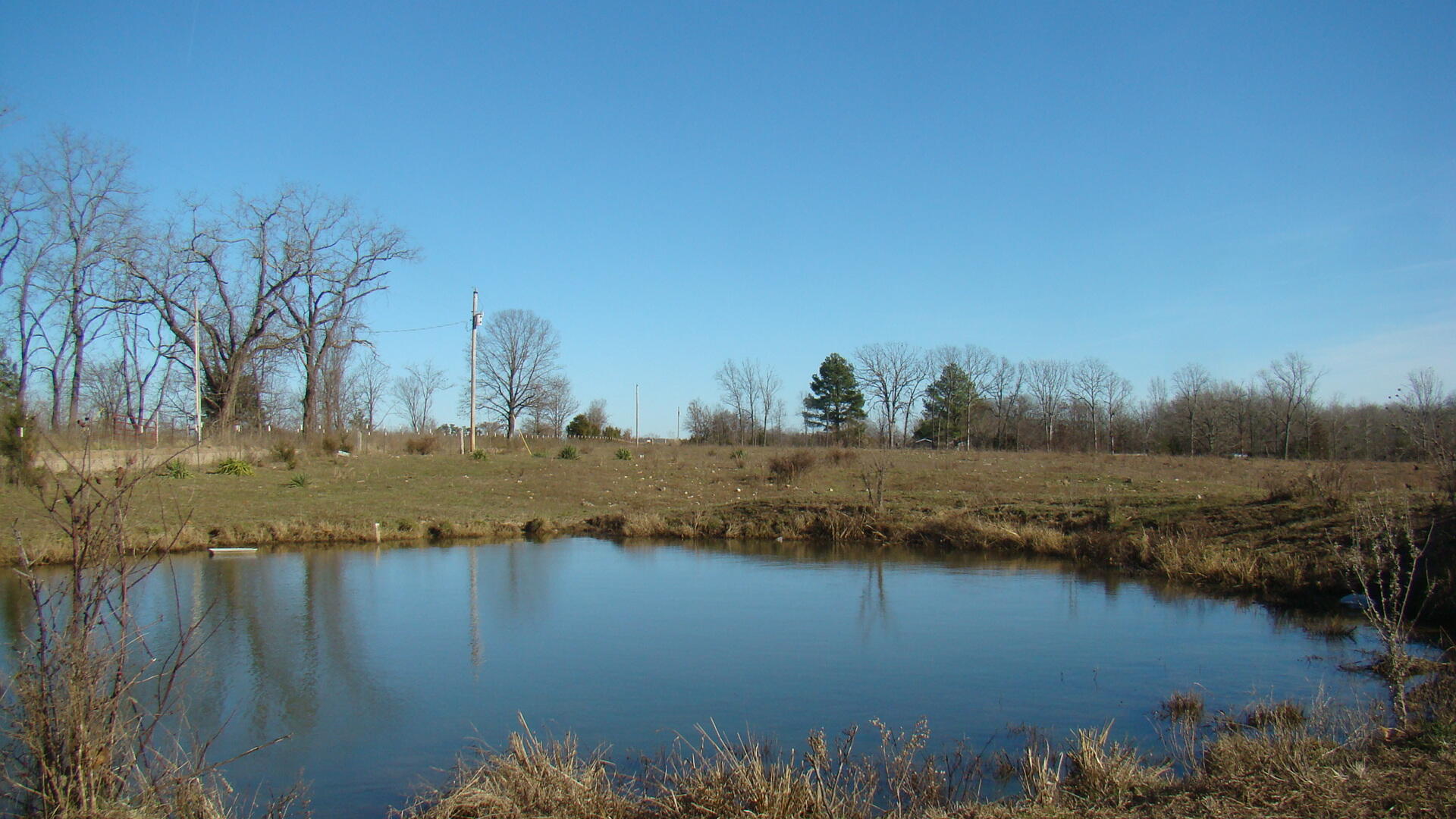 2382 County Road 670 Property Photo 31