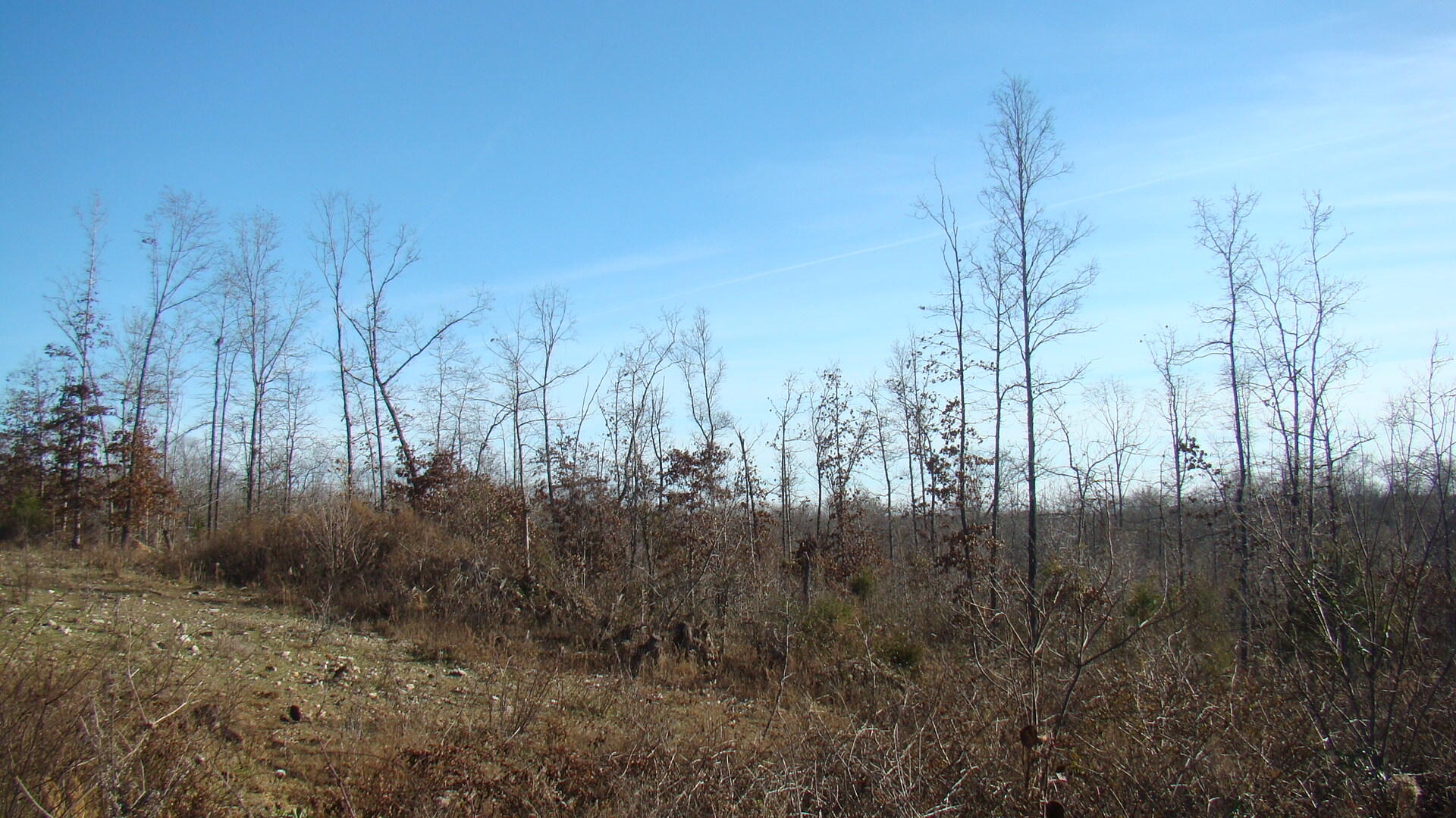 2382 County Road 670 Property Photo 34