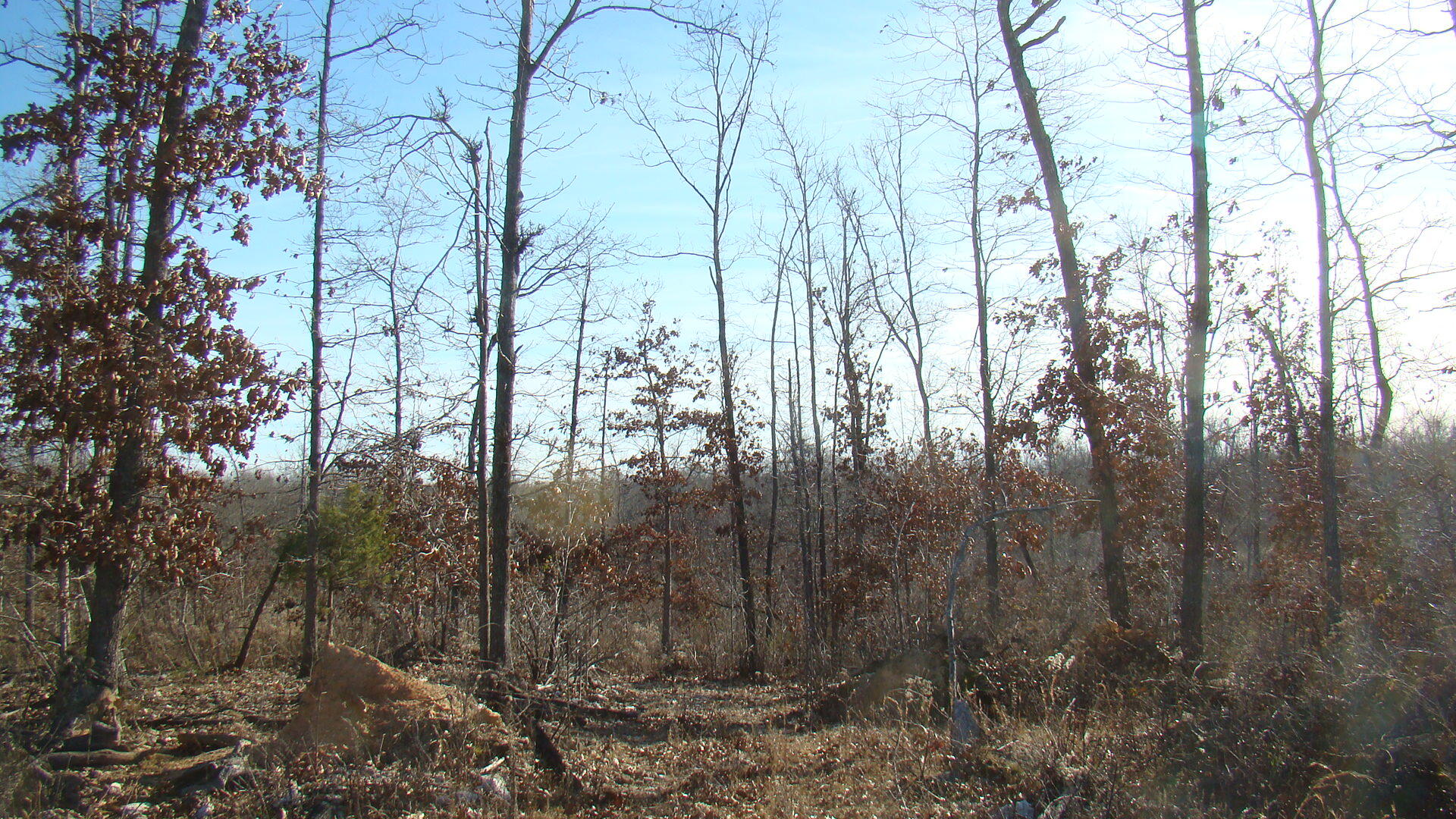 2382 County Road 670 Property Photo 35