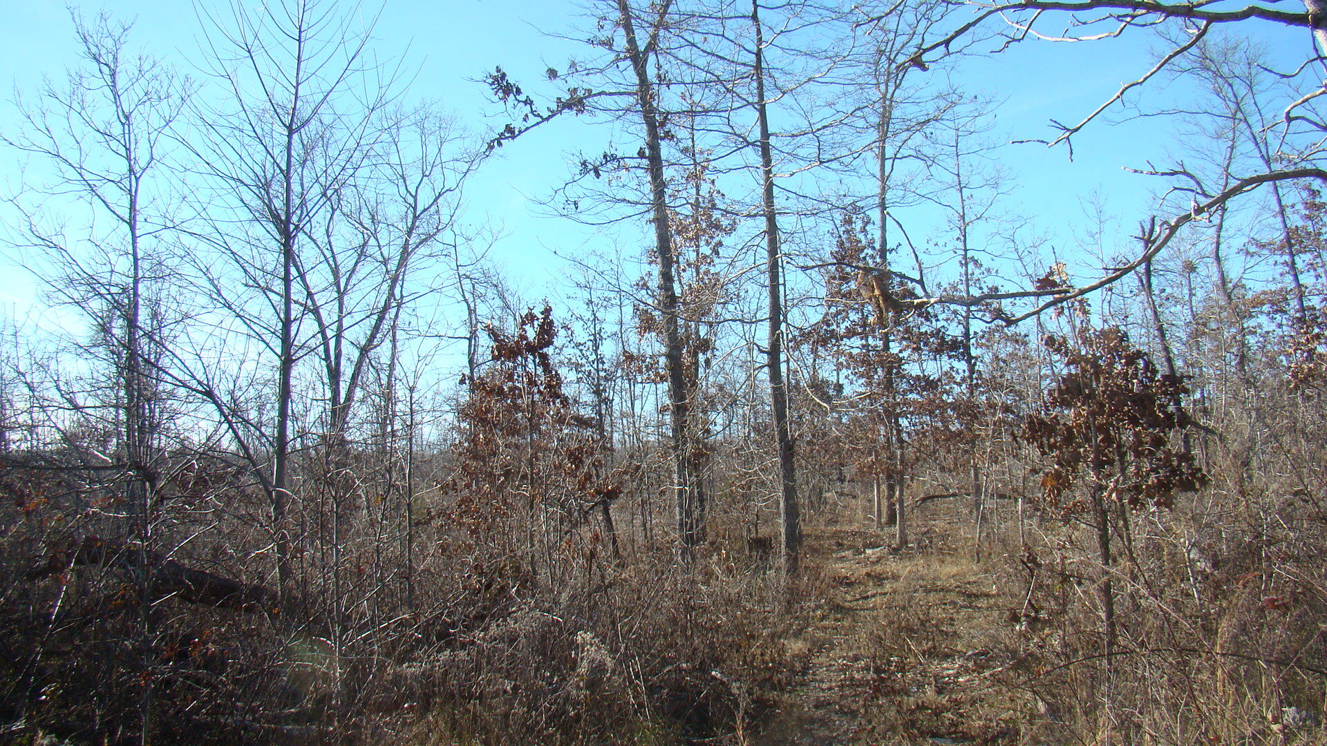 2382 County Road 670 Property Photo 36