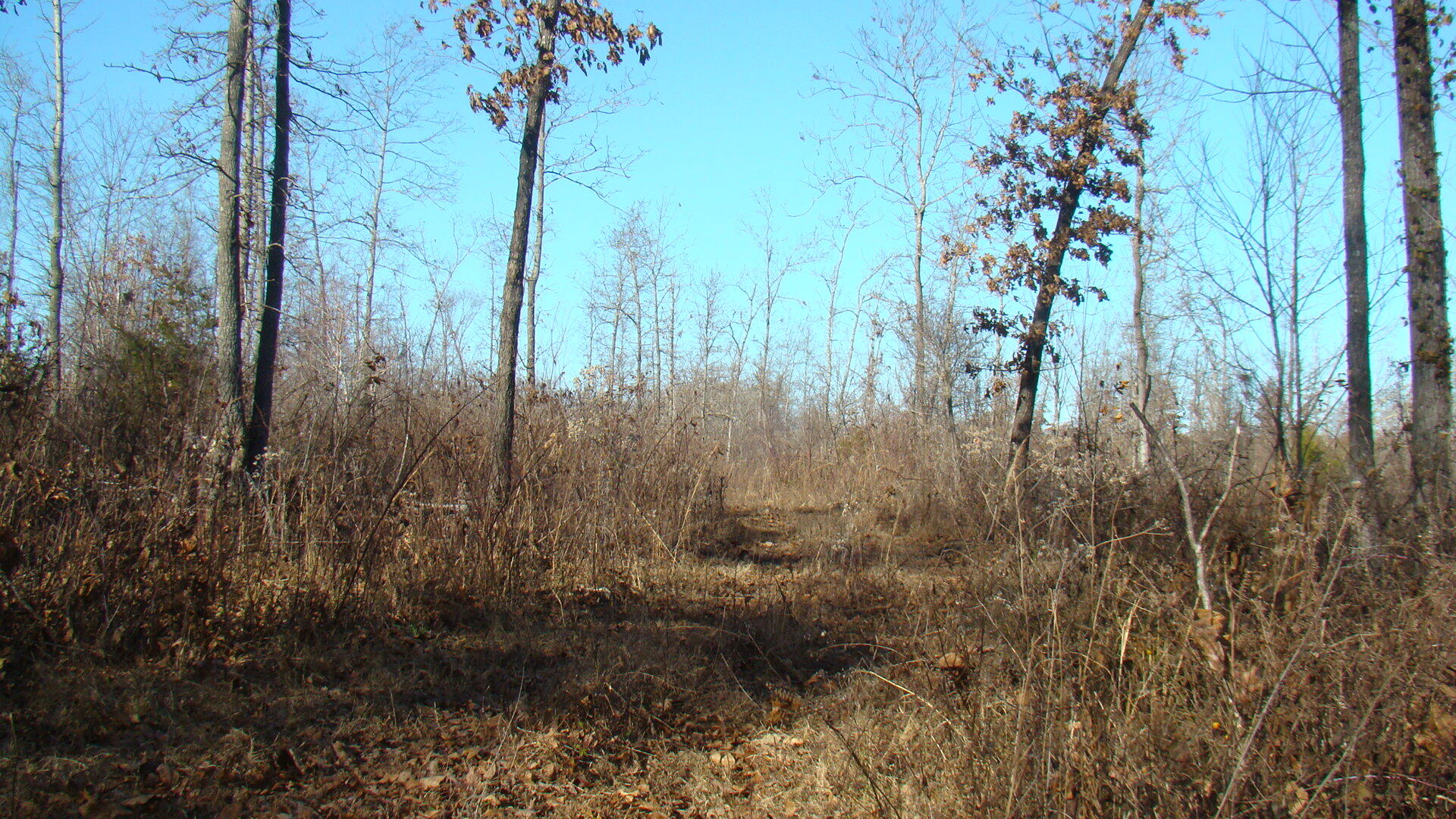2382 County Road 670 Property Photo 37