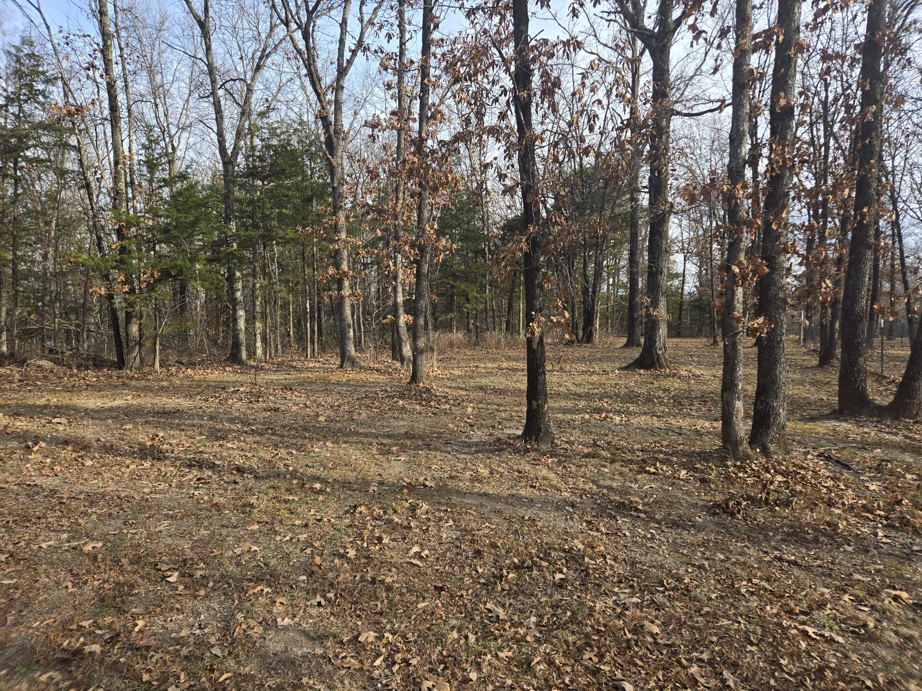 24752 Castle Road Property Photo 48