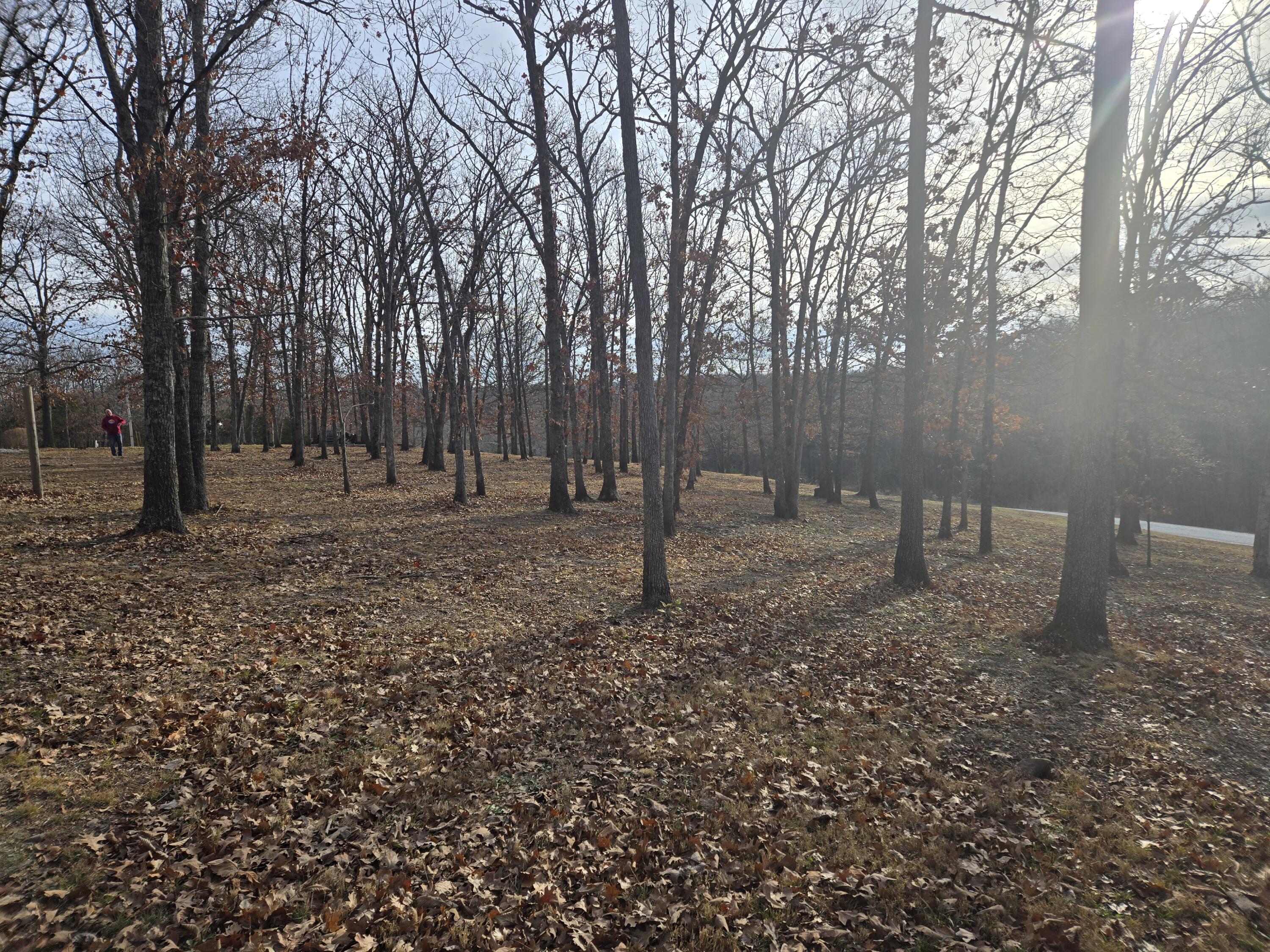 24752 Castle Road Property Photo 49