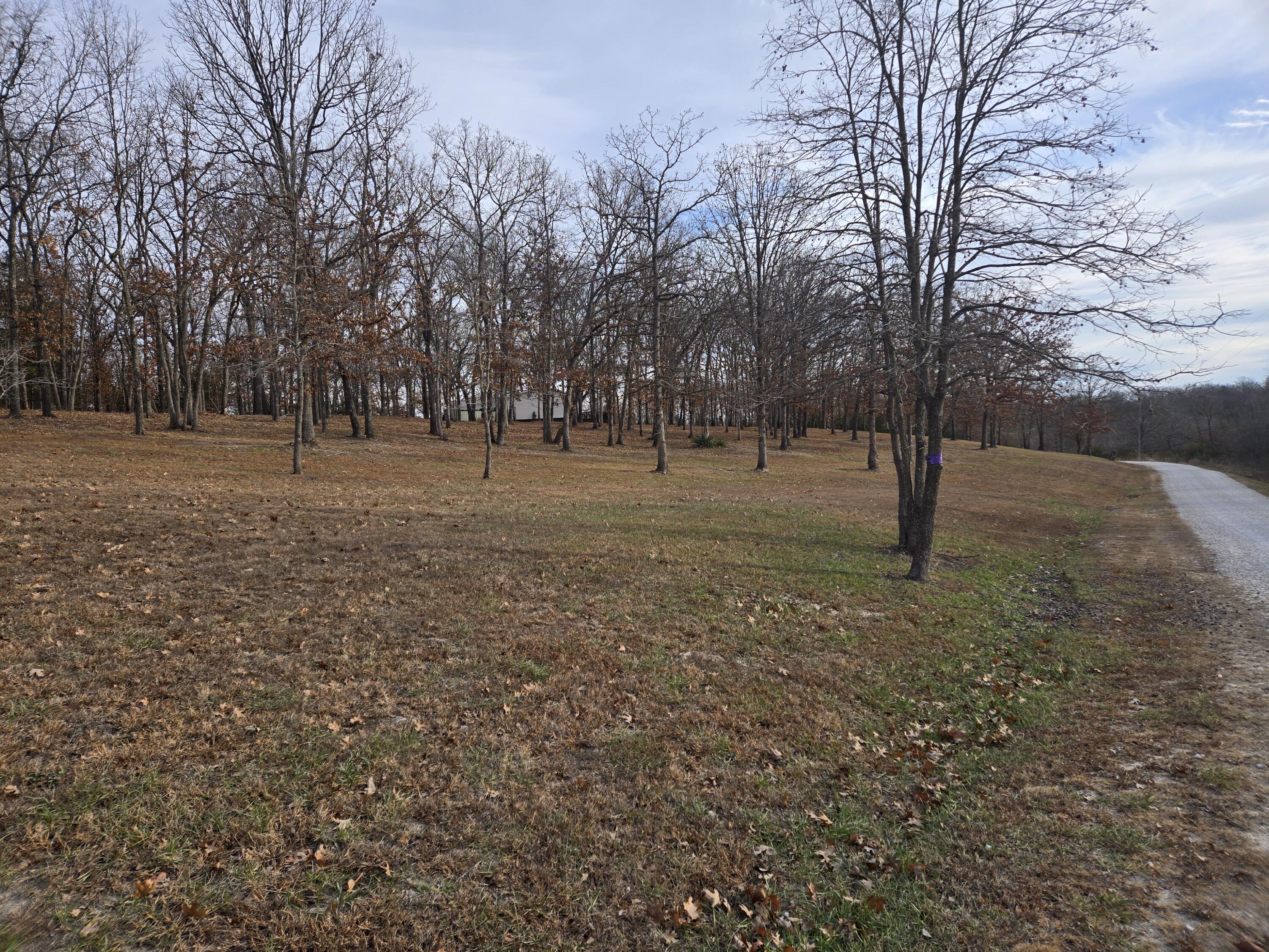 24752 Castle Road Property Photo 53