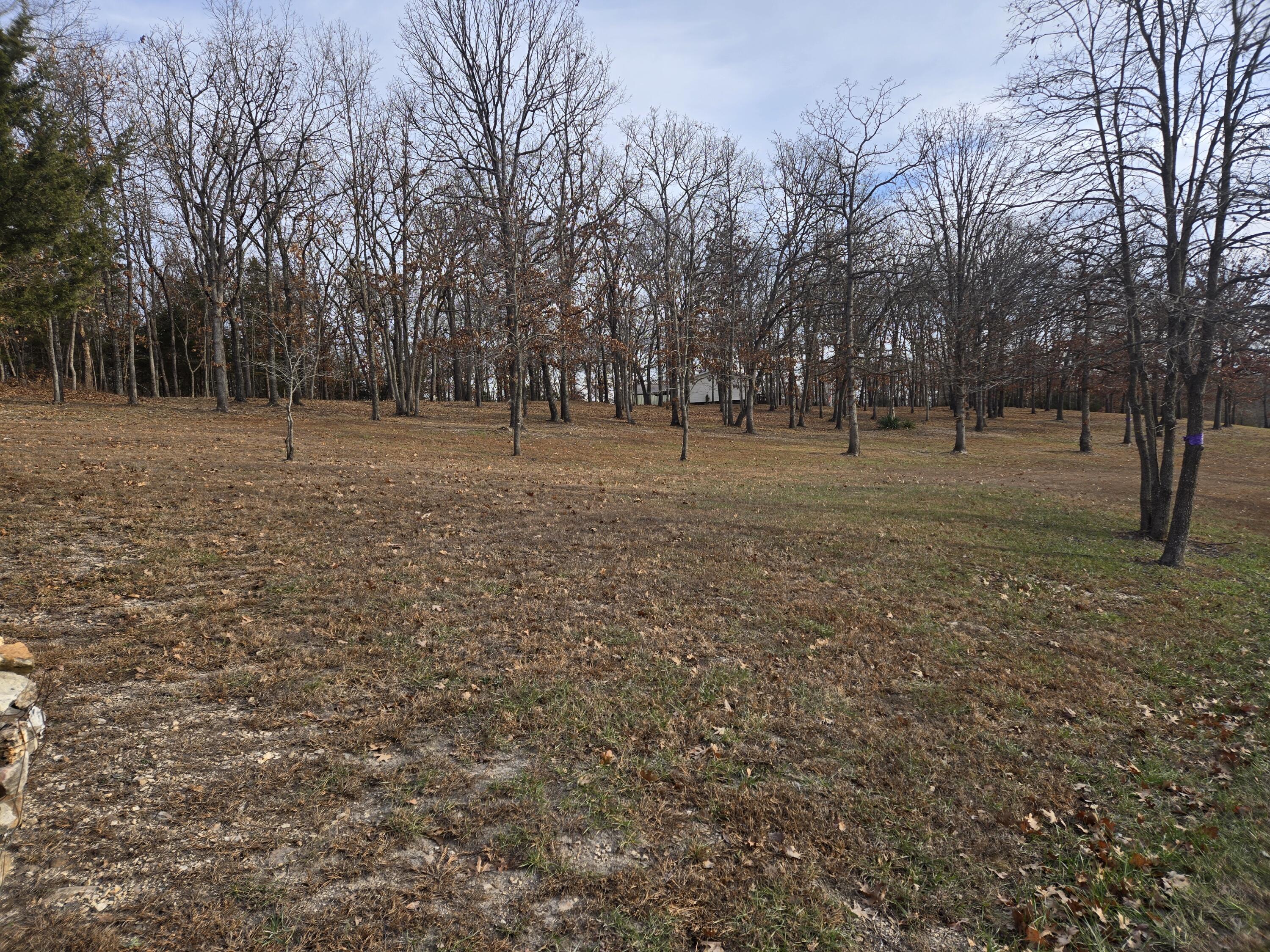 24752 Castle Road Property Photo 57