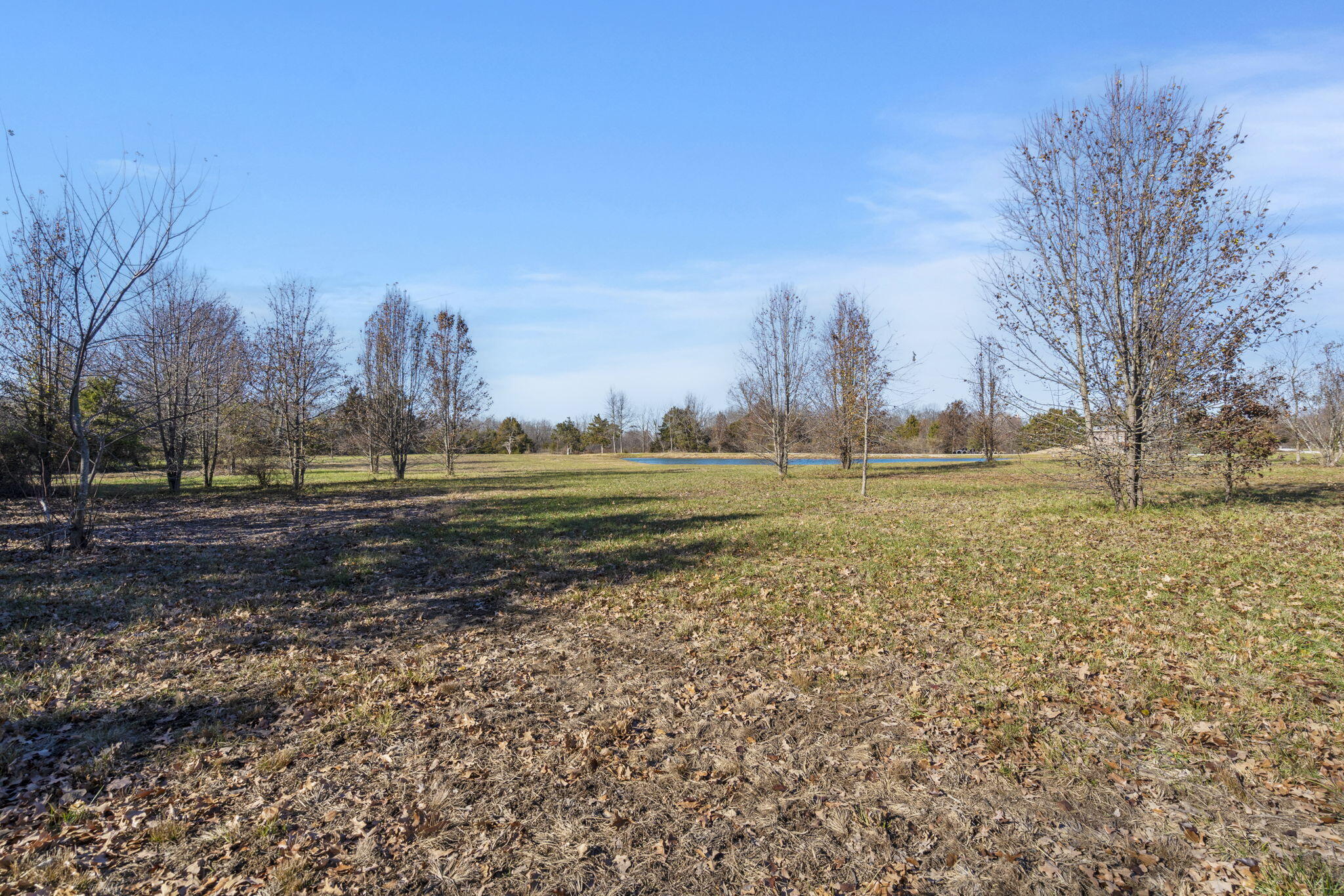 Lot A South Blue Moon Lane Property Photo 6