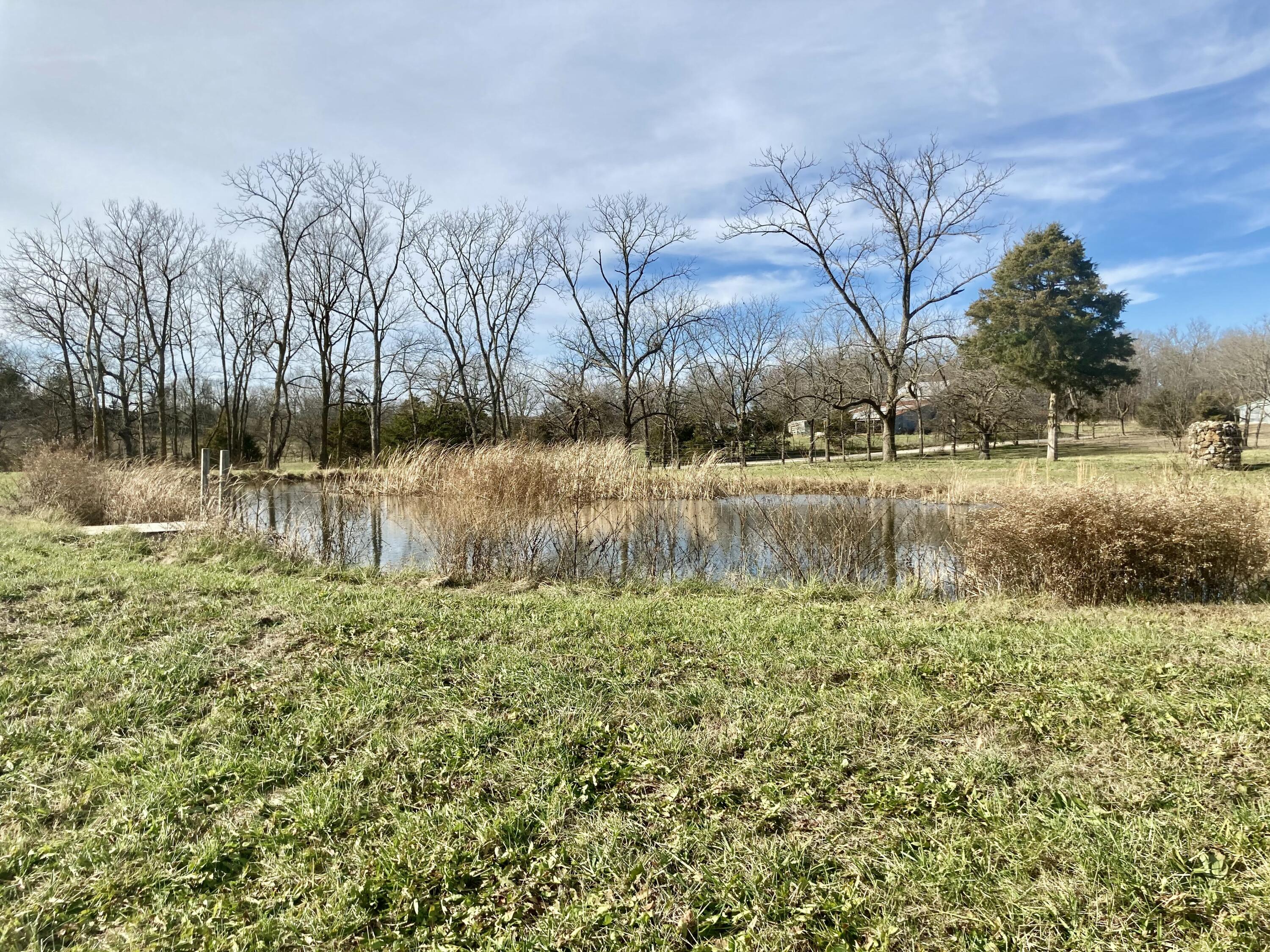 4330 Skyline Road Property Photo 63