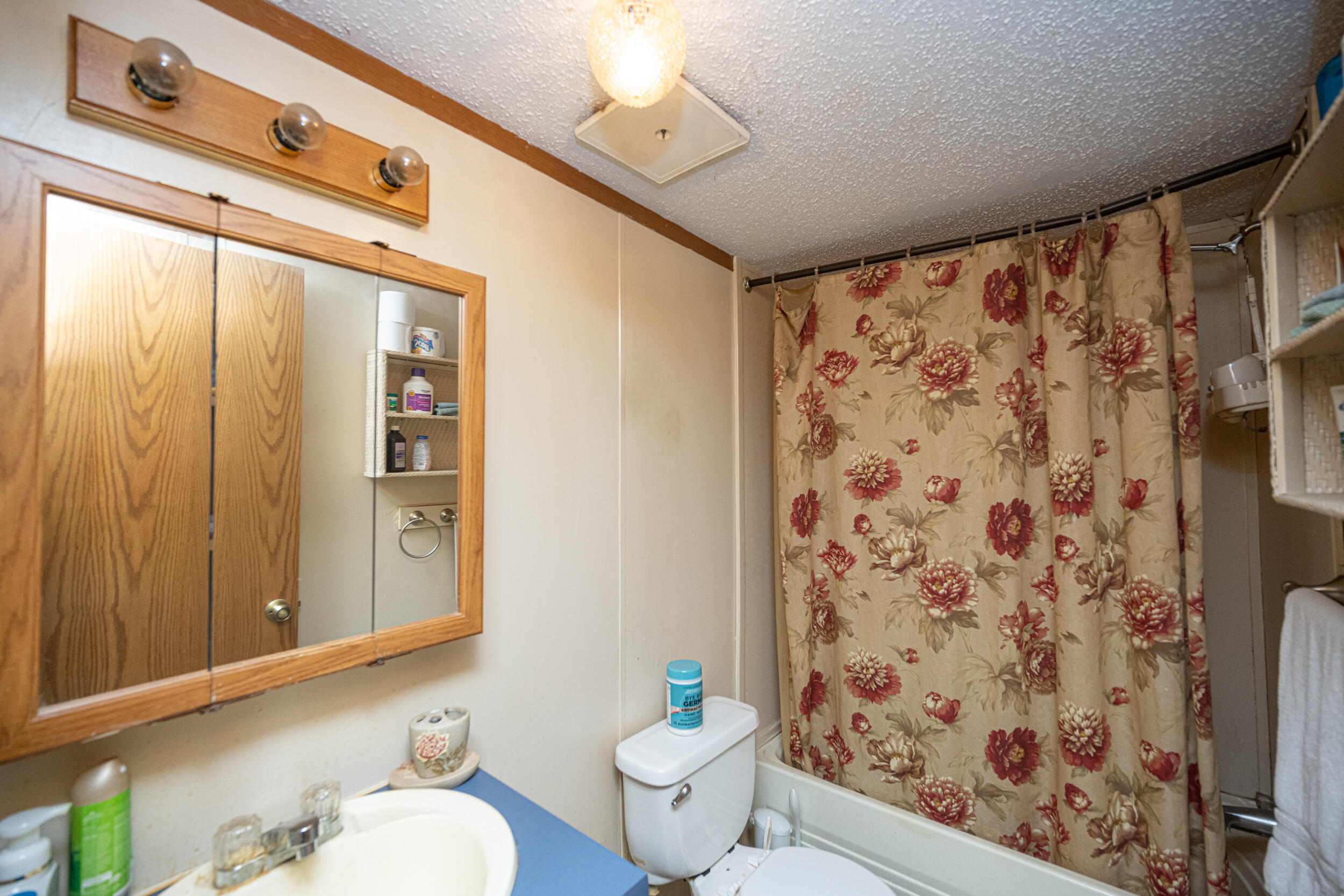 3099 Goff Ridge Road Property Photo 34