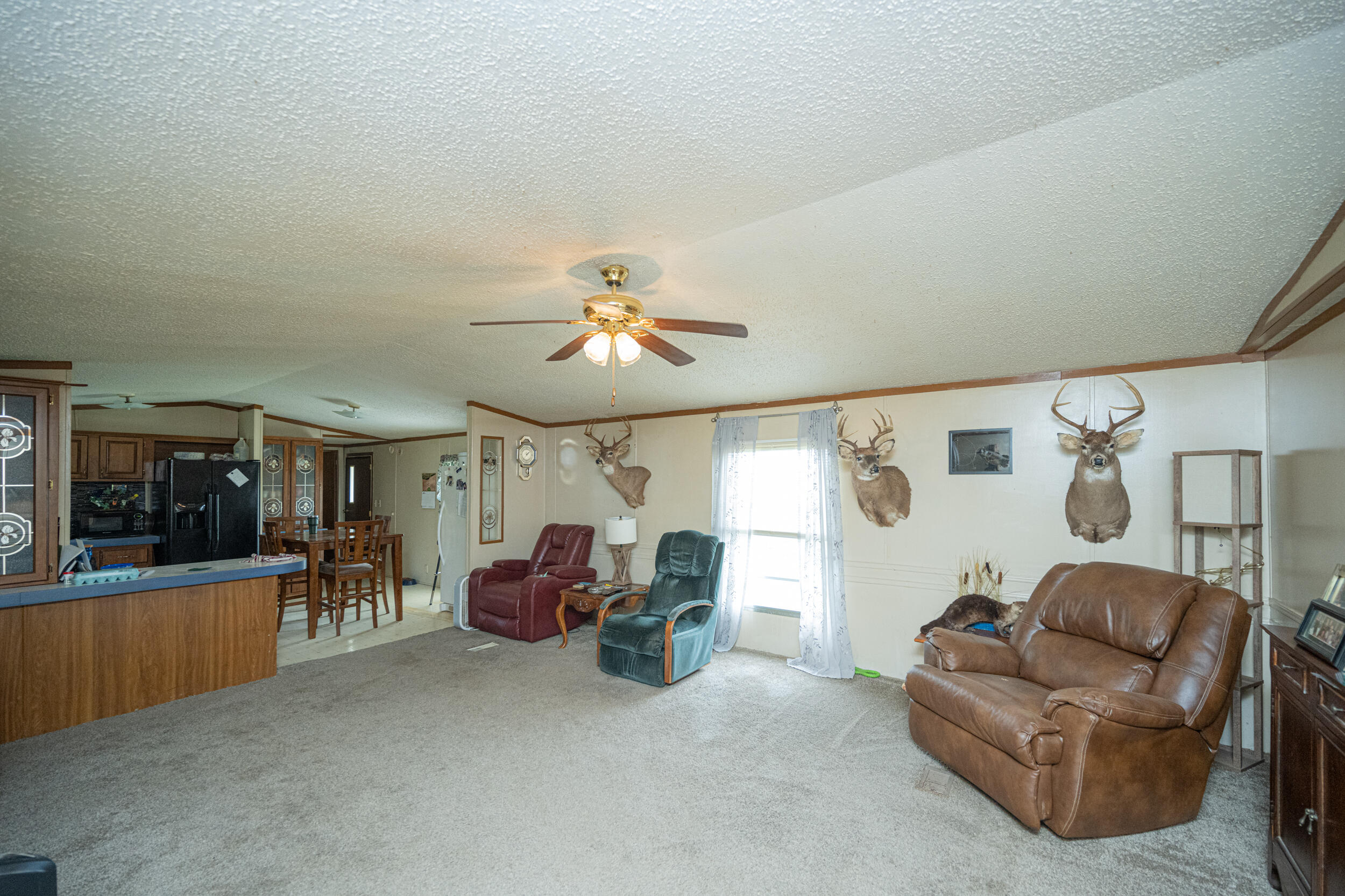 3099 Goff Ridge Road Property Photo 36