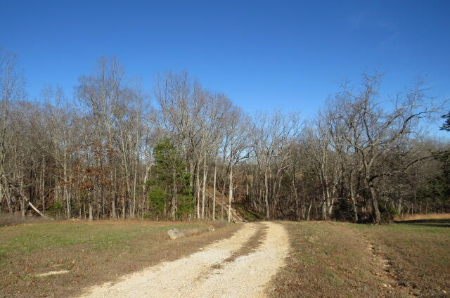 903 Panther Prowl Lane Property Photo 1