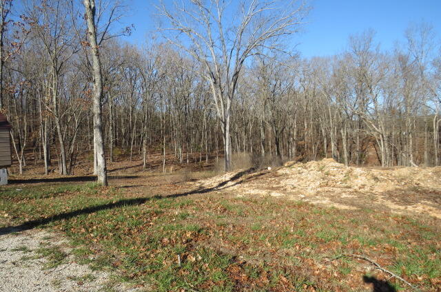 903 Panther Prowl Lane Property Photo 6