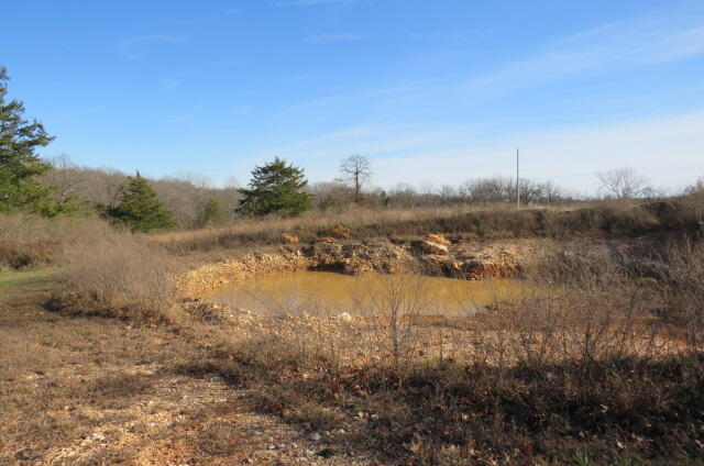 903 Panther Prowl Lane Property Photo 10