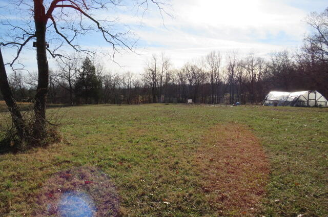 903 Panther Prowl Lane Property Photo 14