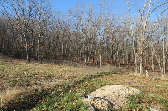 903 Panther Prowl Lane Property Photo 15