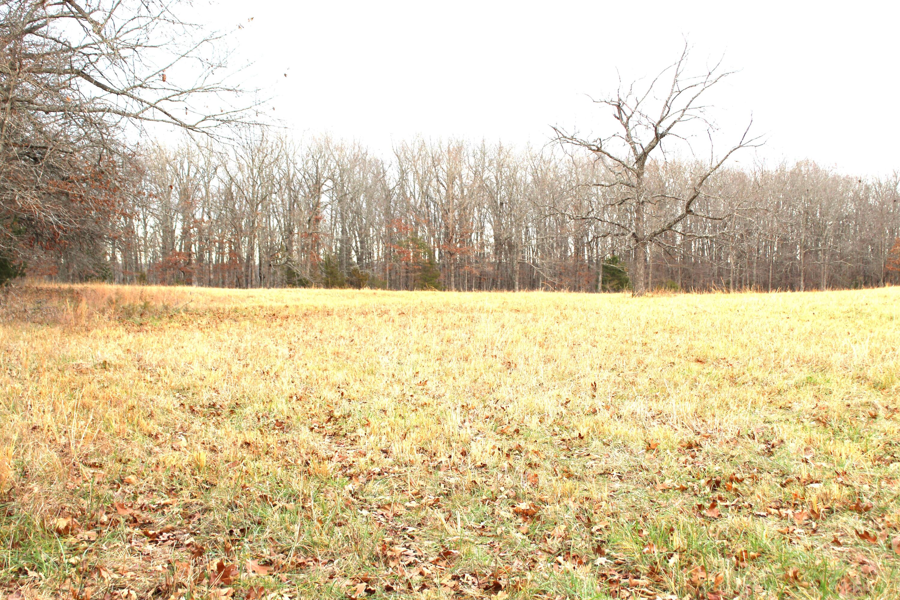 000 Cr 543 Property Photo 5
