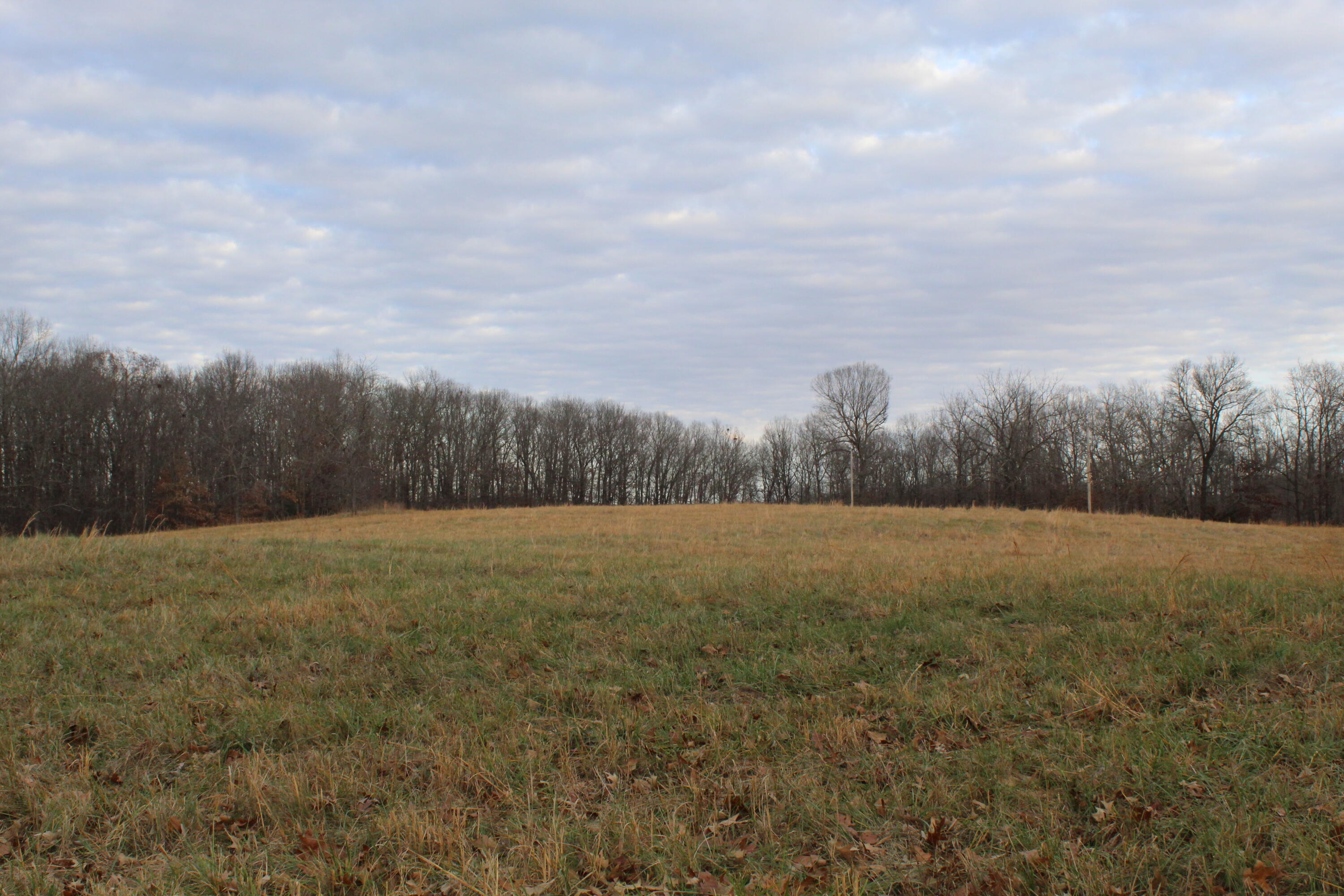 000 Cr 543 Property Photo 10