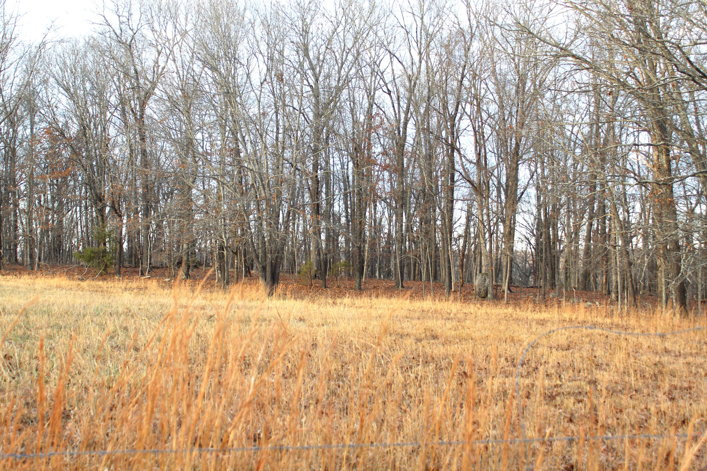000 Cr 543 Property Photo 17