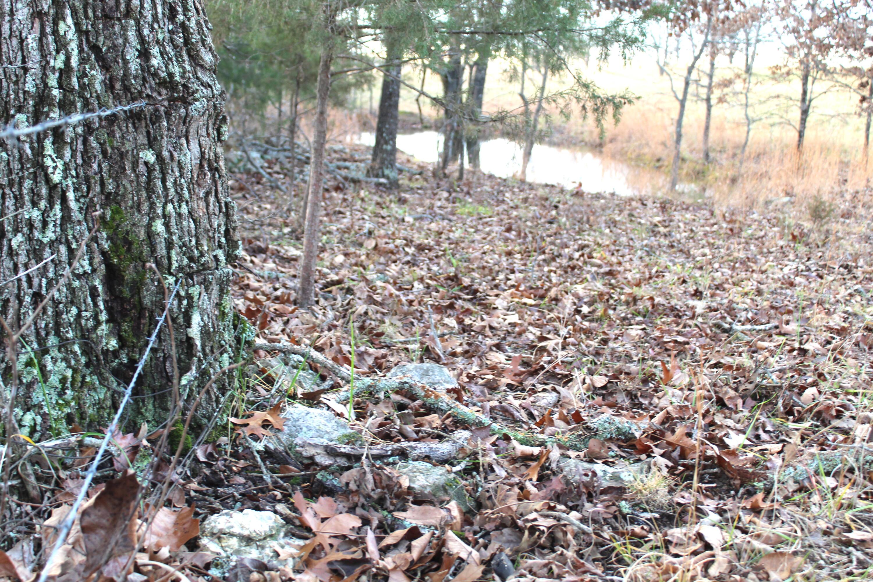 000 Cr 543 Property Photo 21