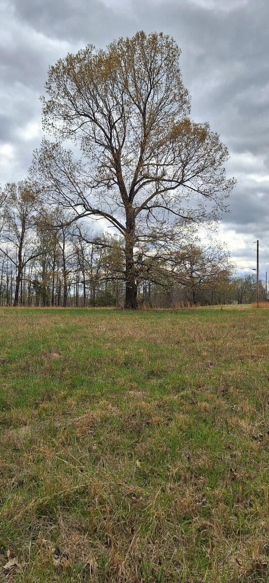 000 Cr 543 Property Photo 35