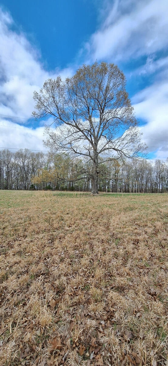 000 Cr 543 Property Photo 39