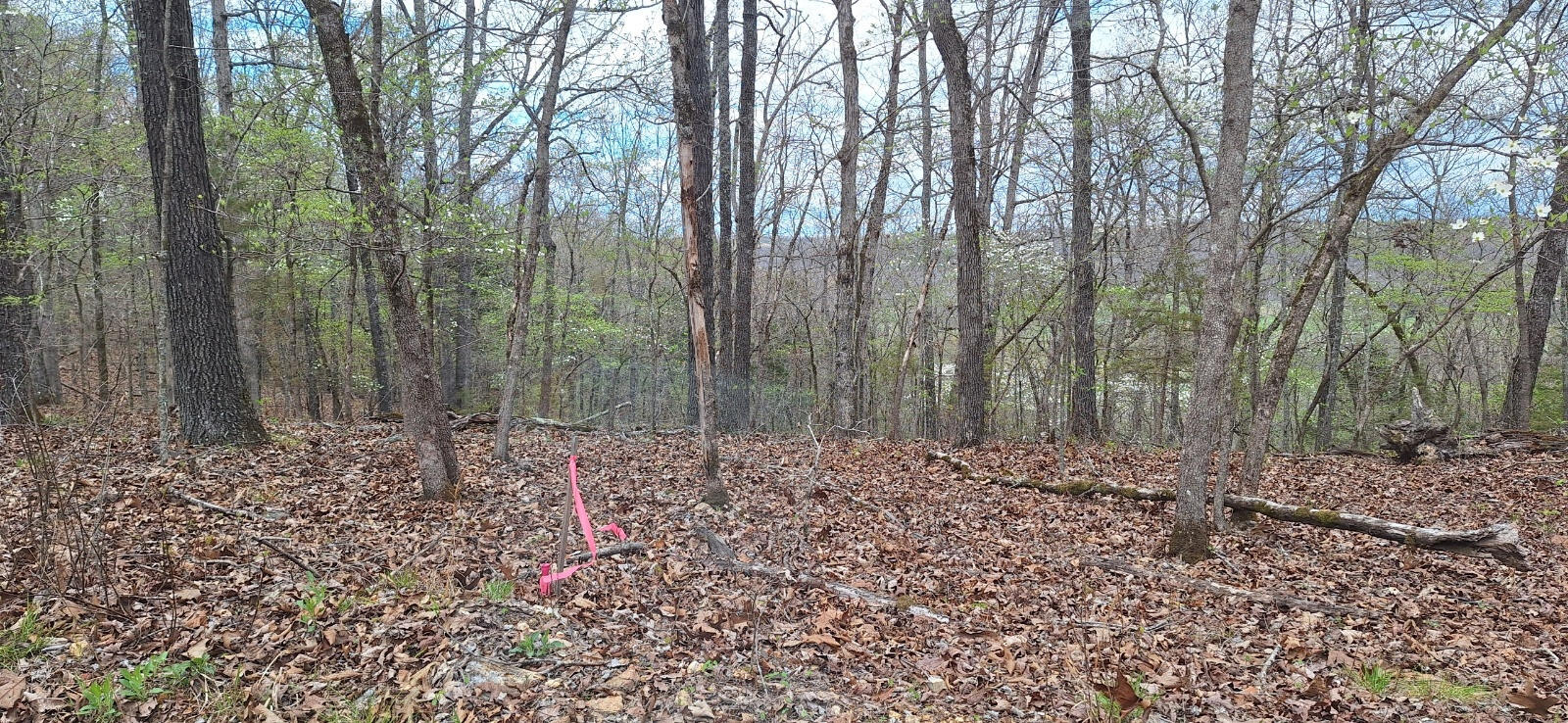 000 Cr 543 Property Photo 41